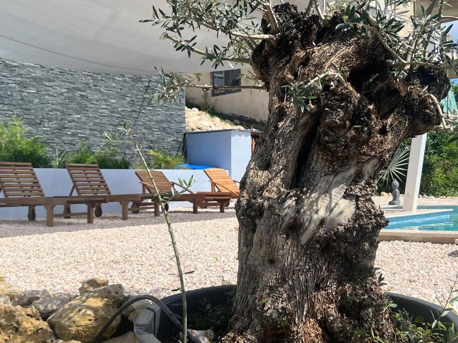 NEU!!! Apartment im Luxory Resort Coral Estate