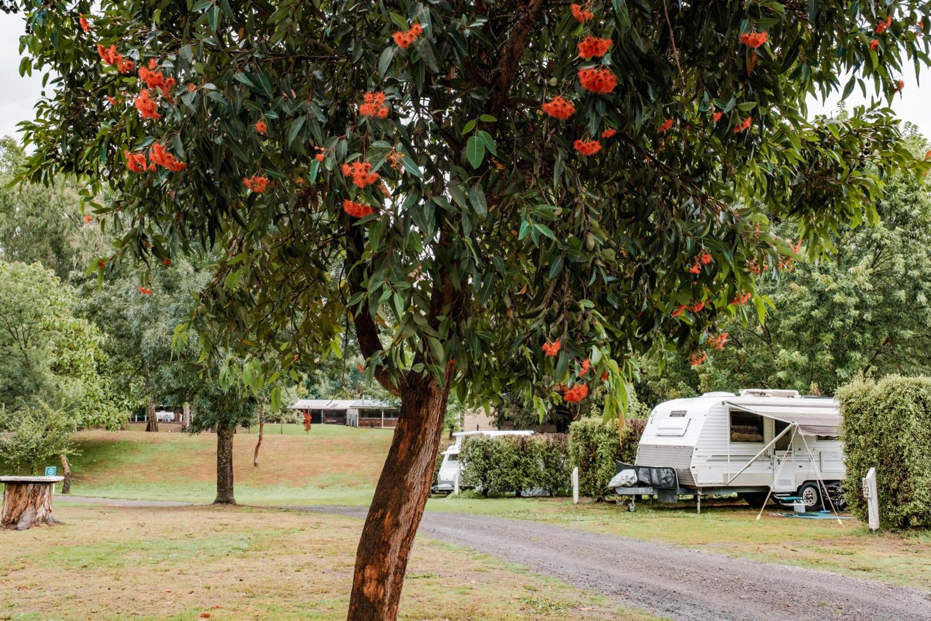 BIG4 Breeze Holiday Parks - Eildon