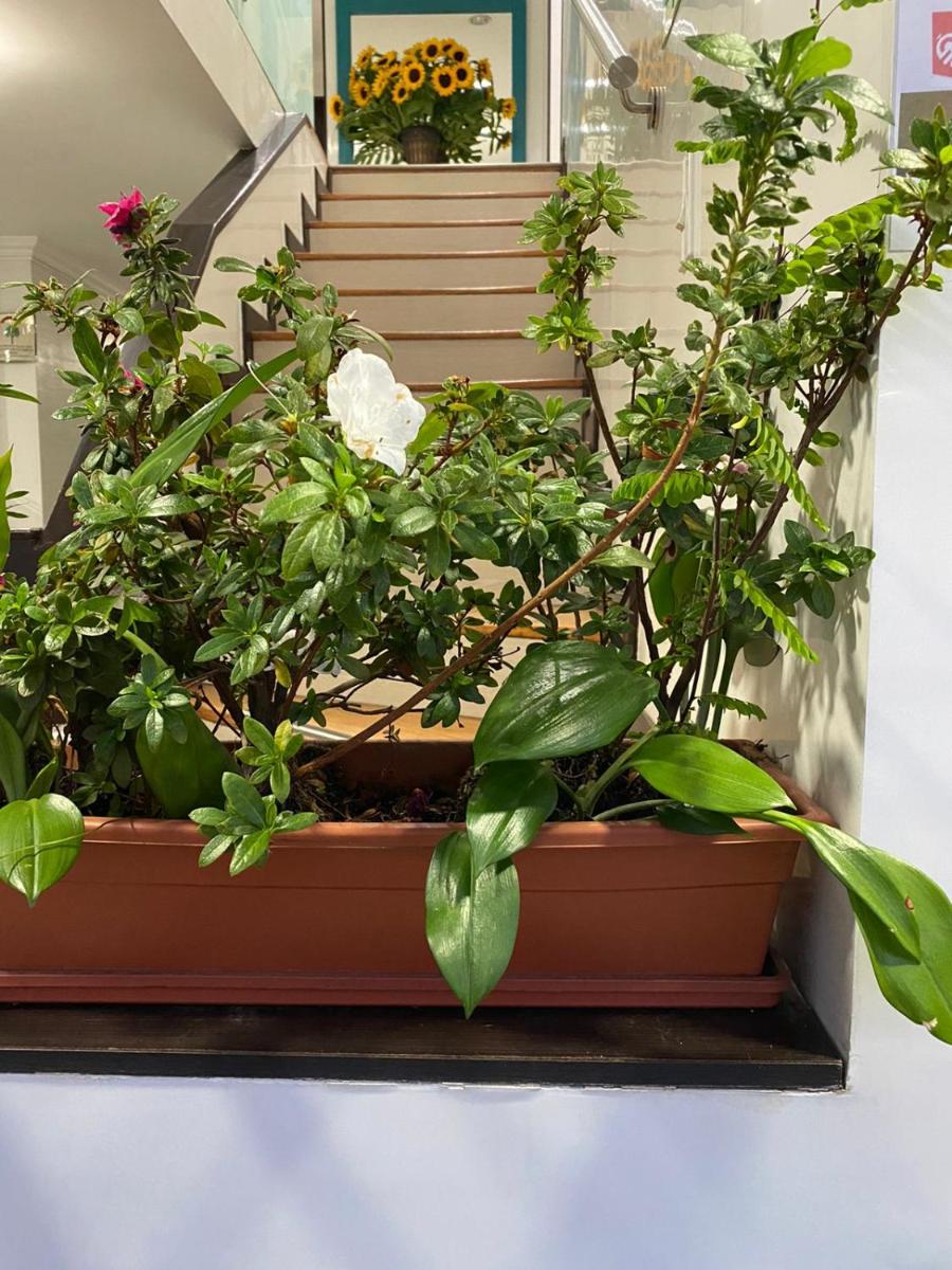 balcony