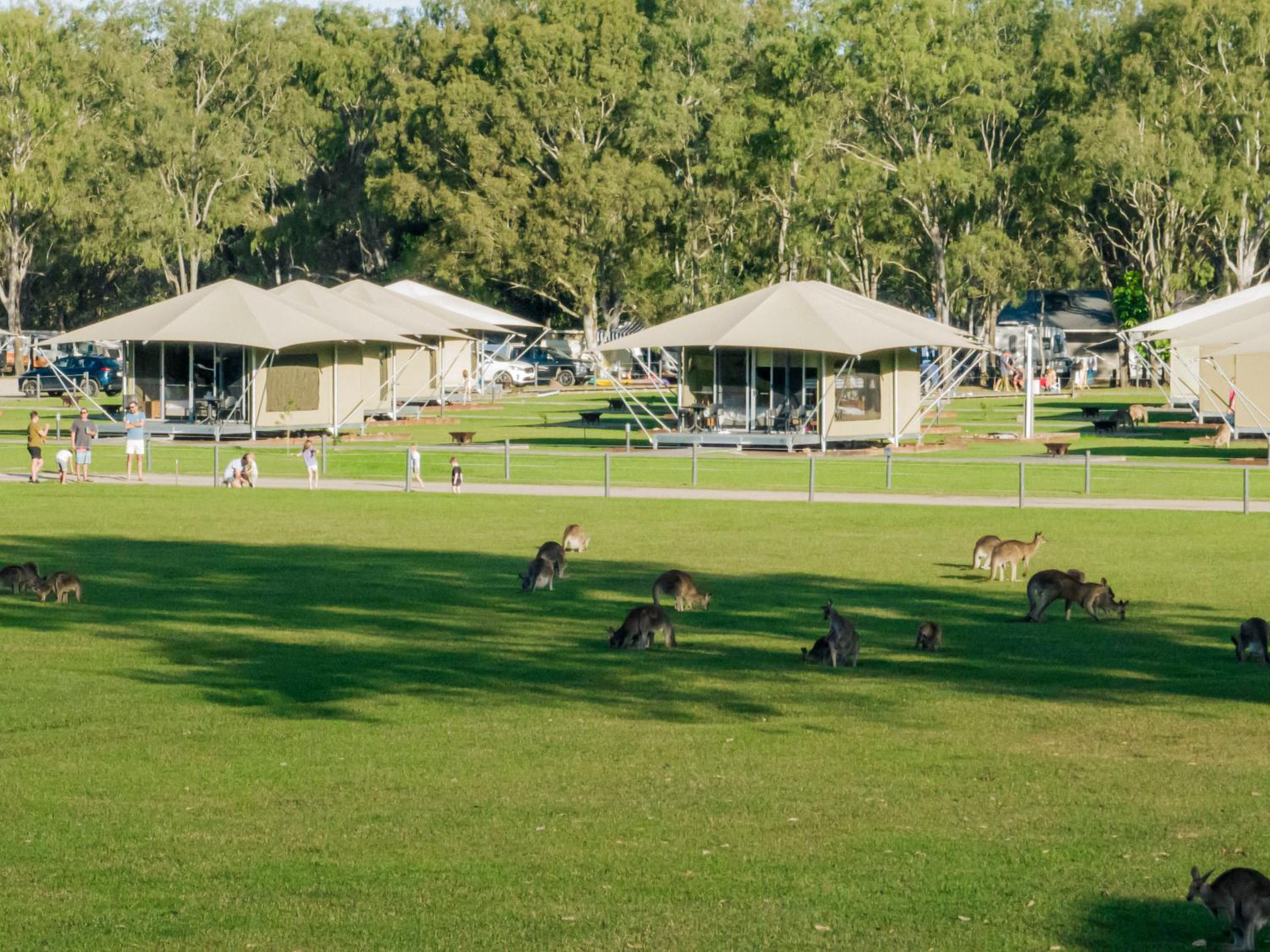 Habitat Noosa
