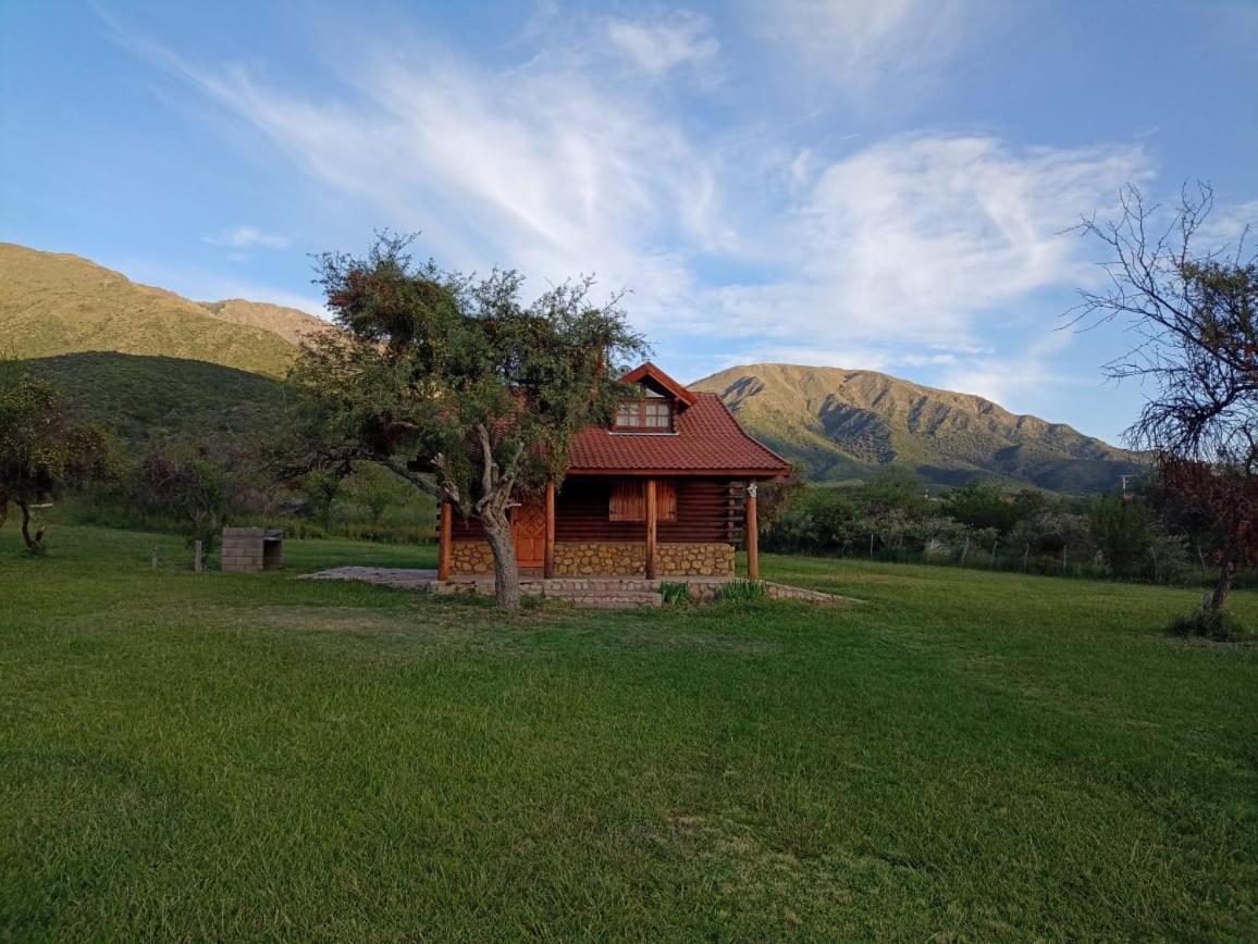 BELLA VISTA CABAÑAS
