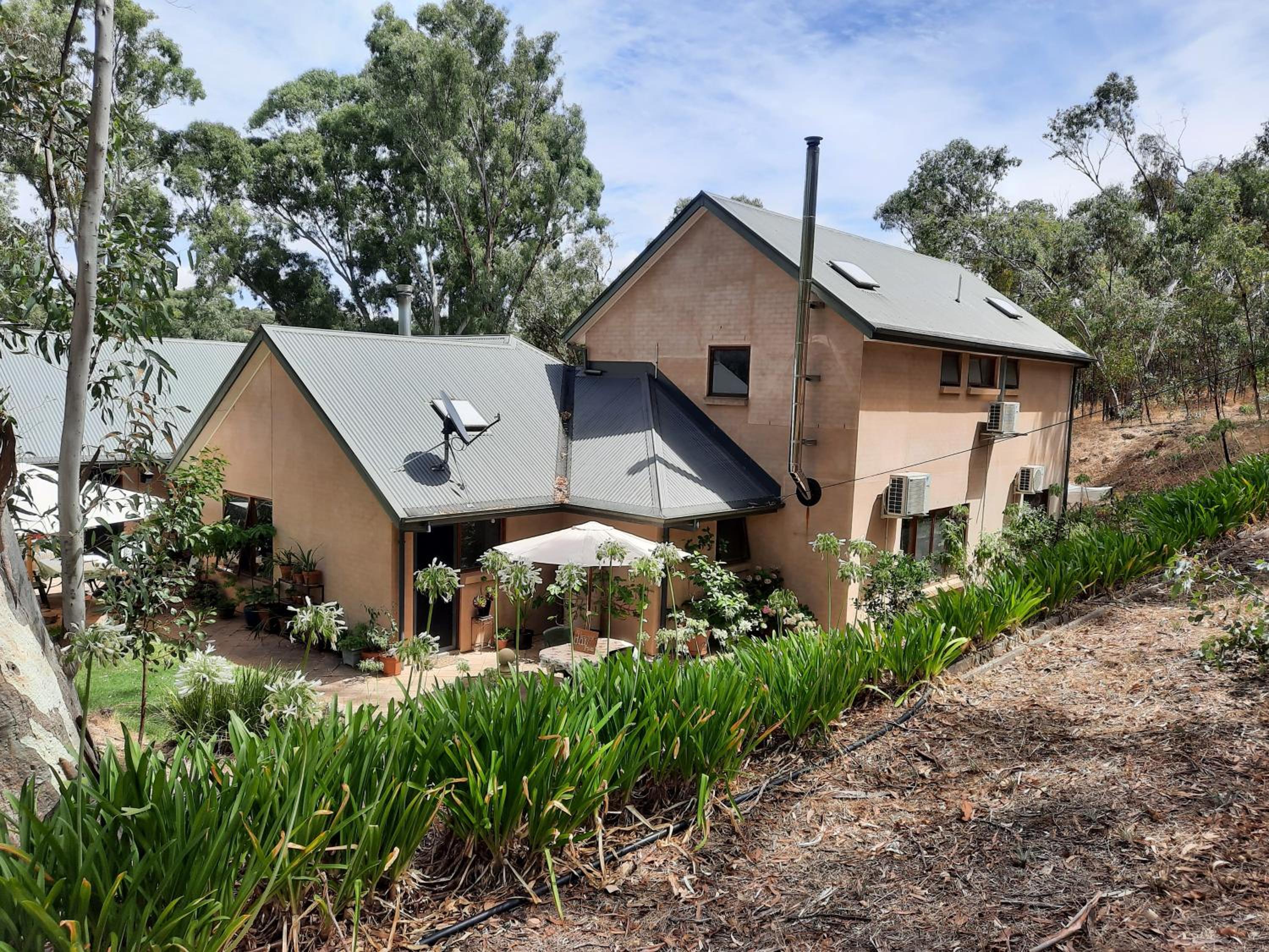 Frogmouth Hollow