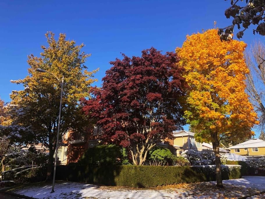 Super Cosy 8Bed & 6Bath in Vancouver heart near to airport and DownTown