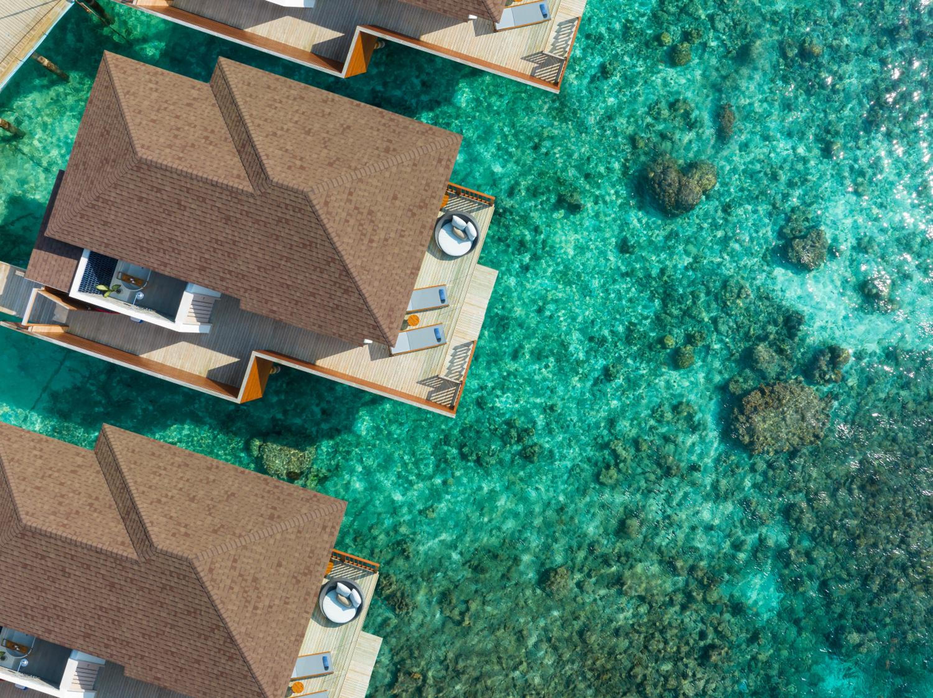 Avani Plus Fares Maldives Resort photo 3