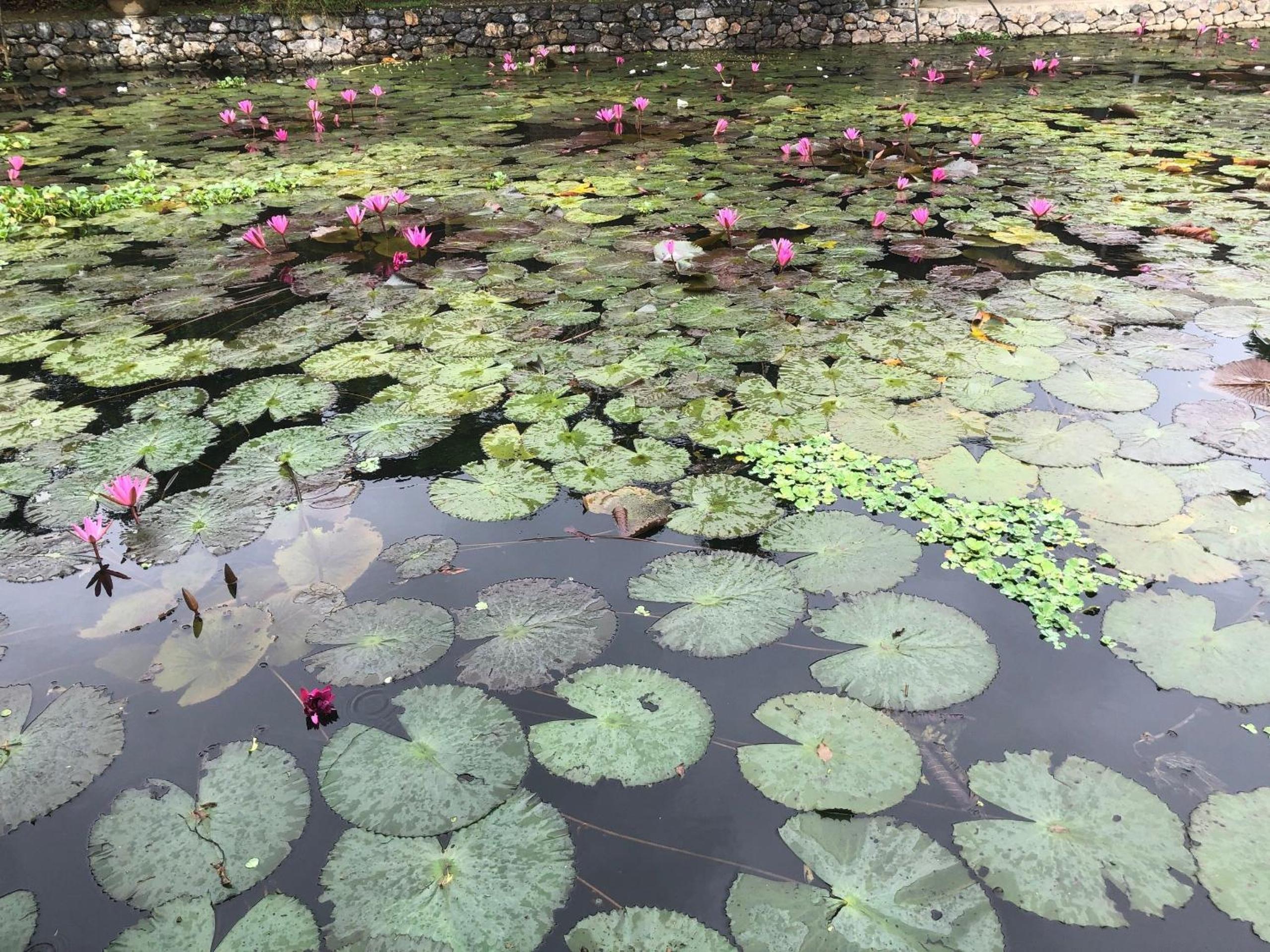 Le Jardin De Tam Coc view 3