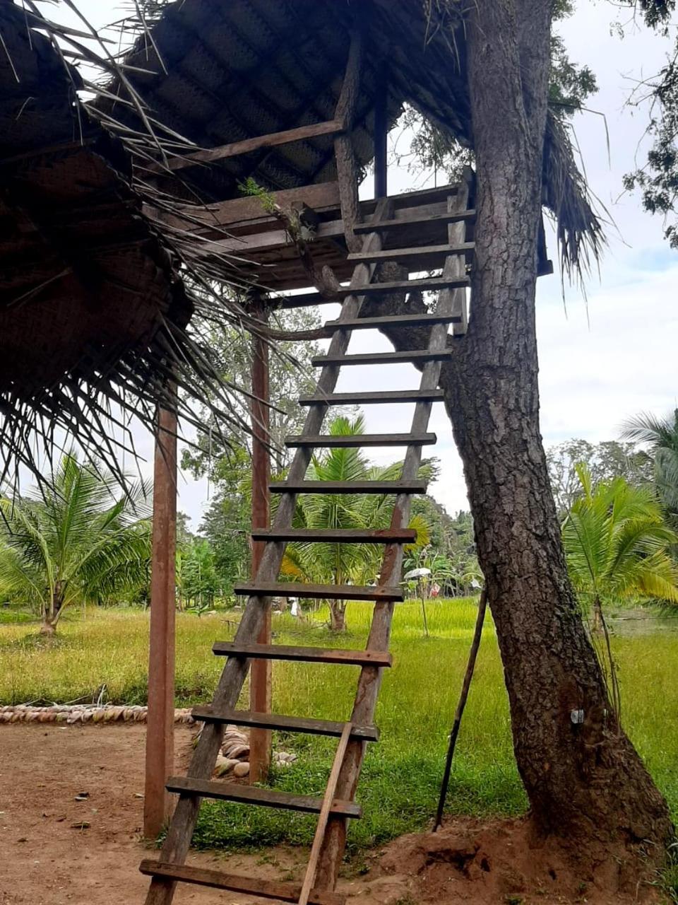 Sigiri Nisala Villa