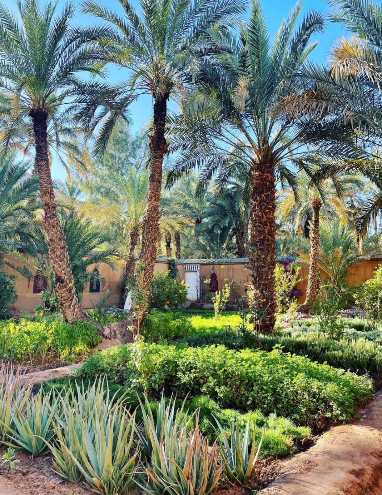 Riad Dar Sofian view 5