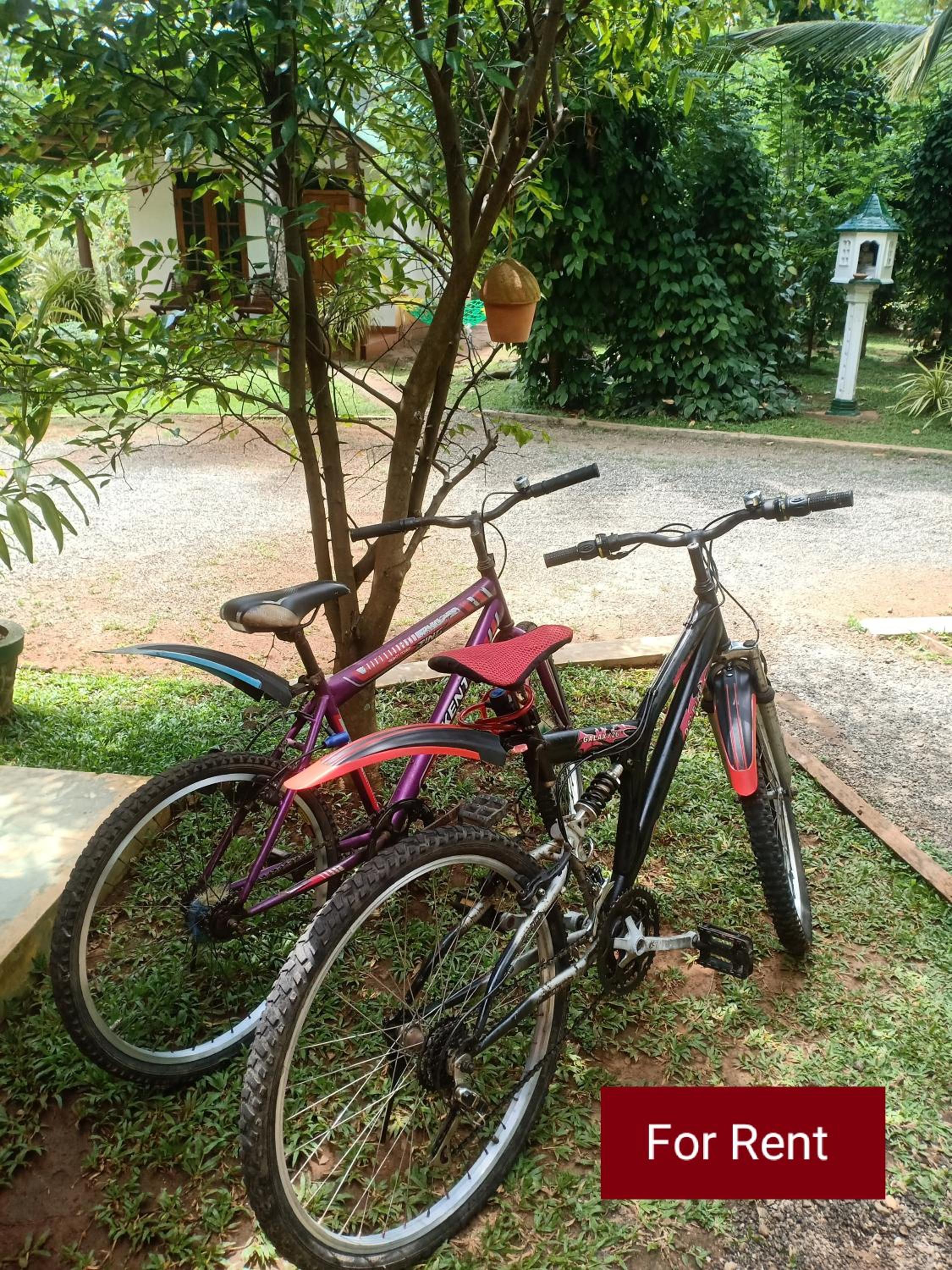 Green View Safari Resort