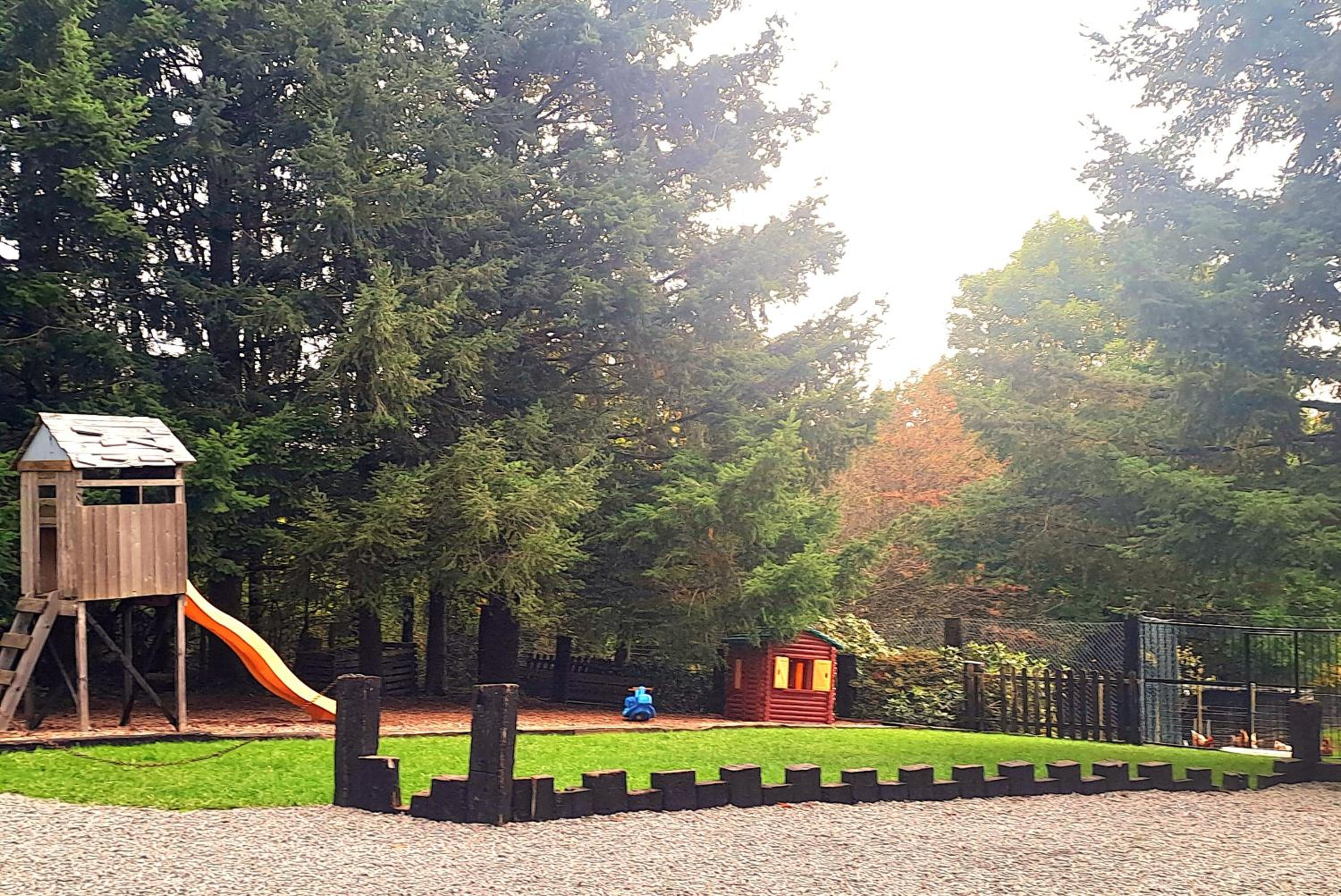 L'orée du bois