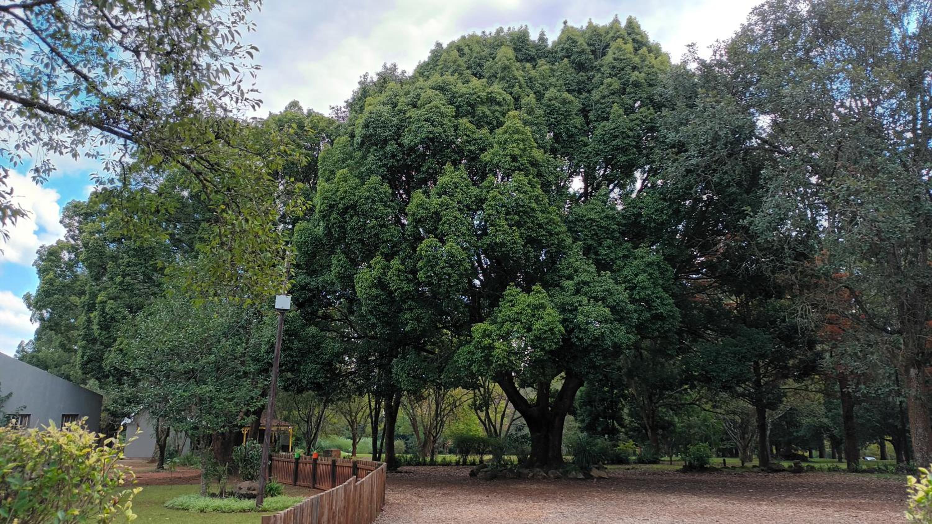 other