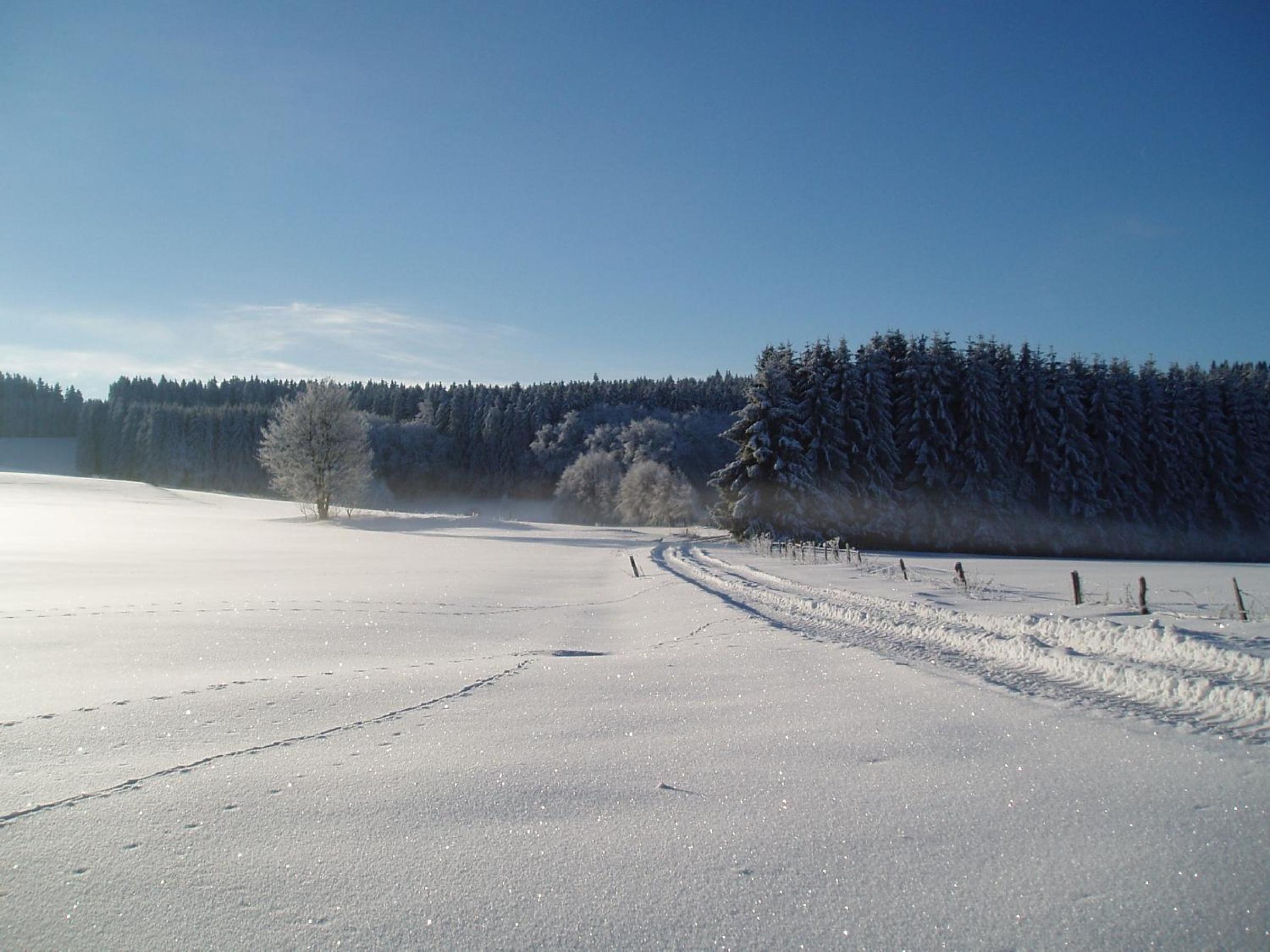 Ferienwohnung Auf Dem Schönen Felde