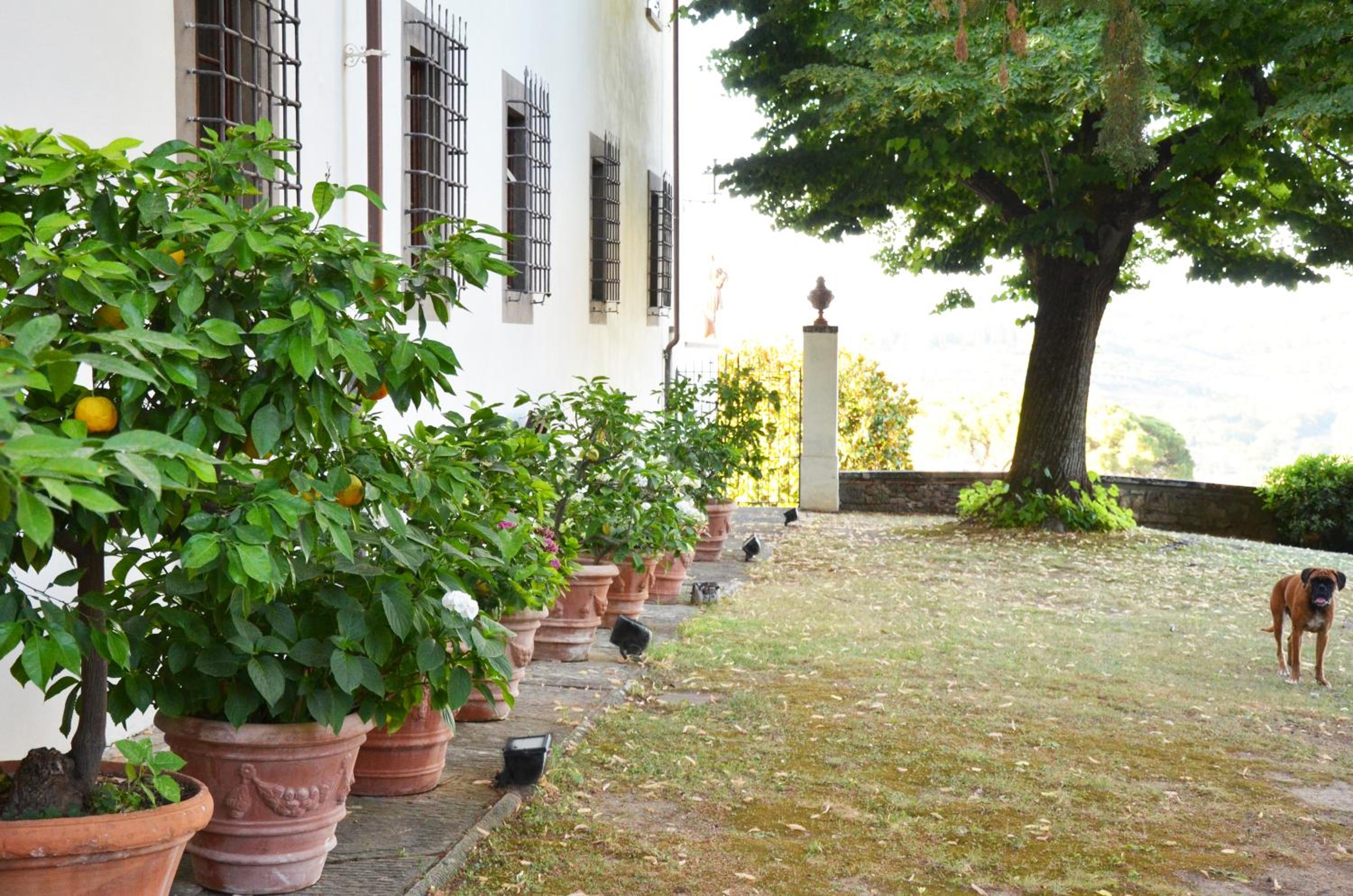 Podere di Montecchio