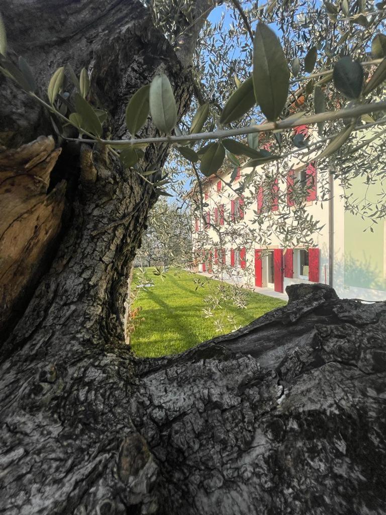 Residenza Vesentini