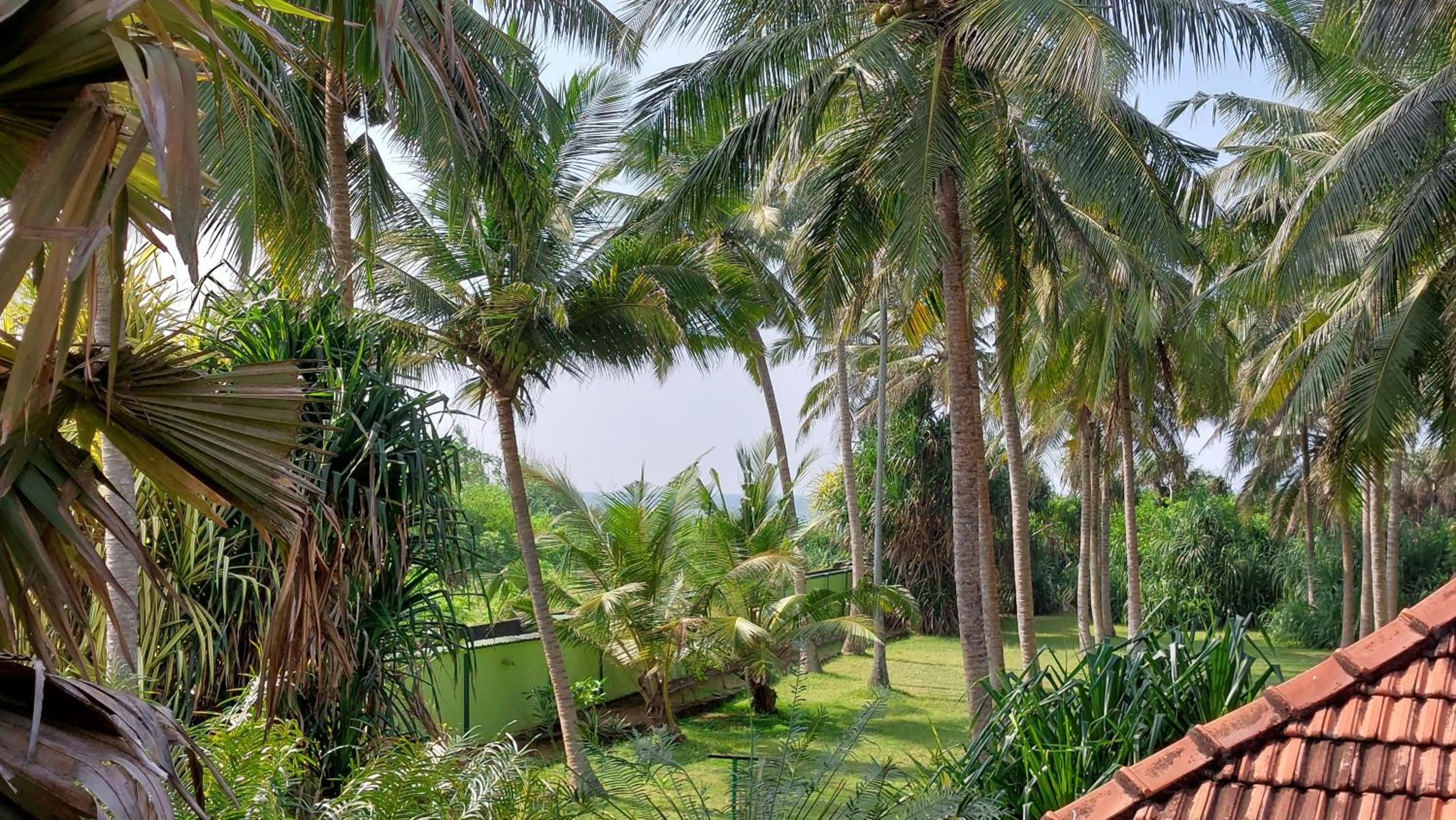 Bandulas Beach House view 5