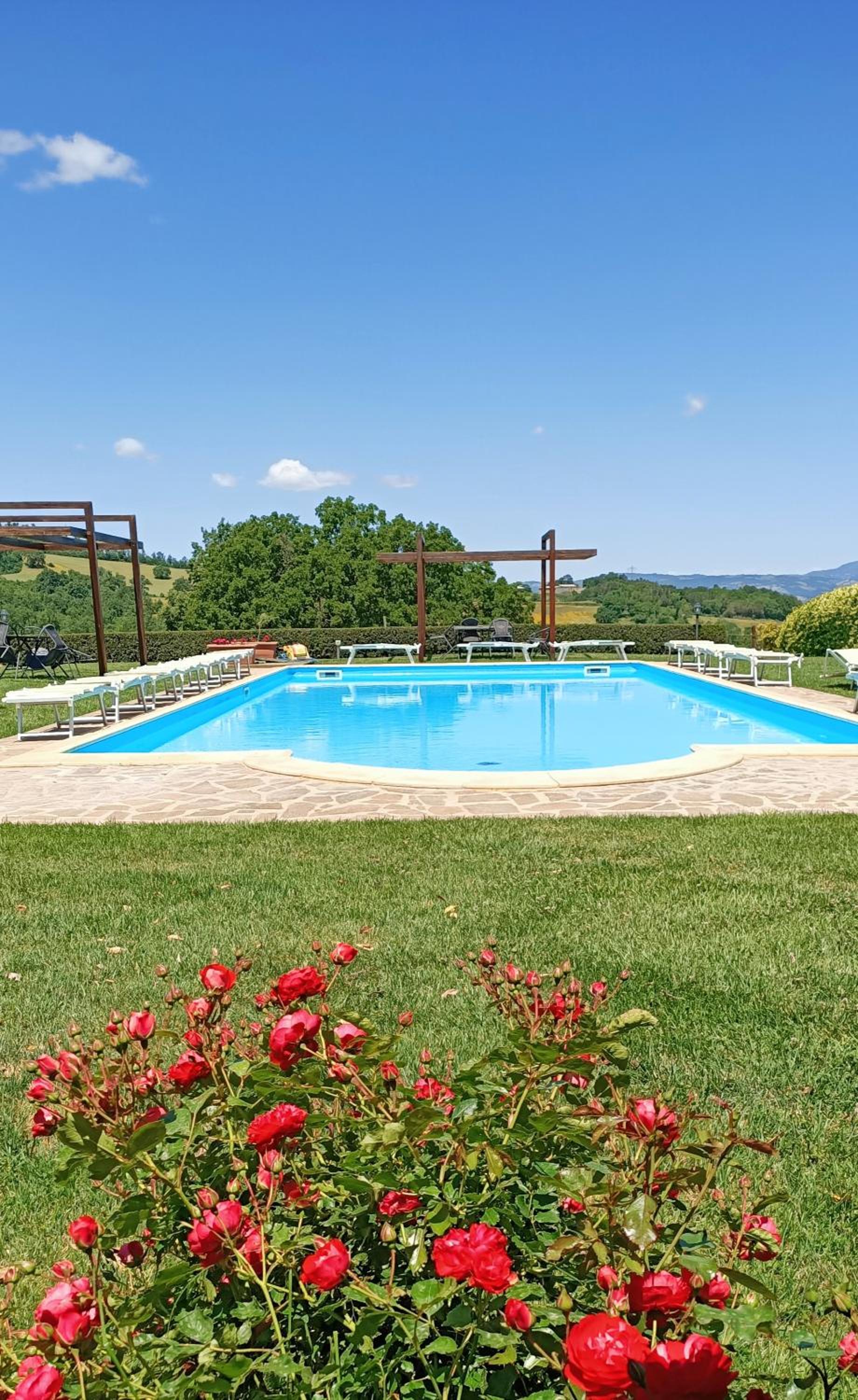 Il Poggio di Teo photo 2