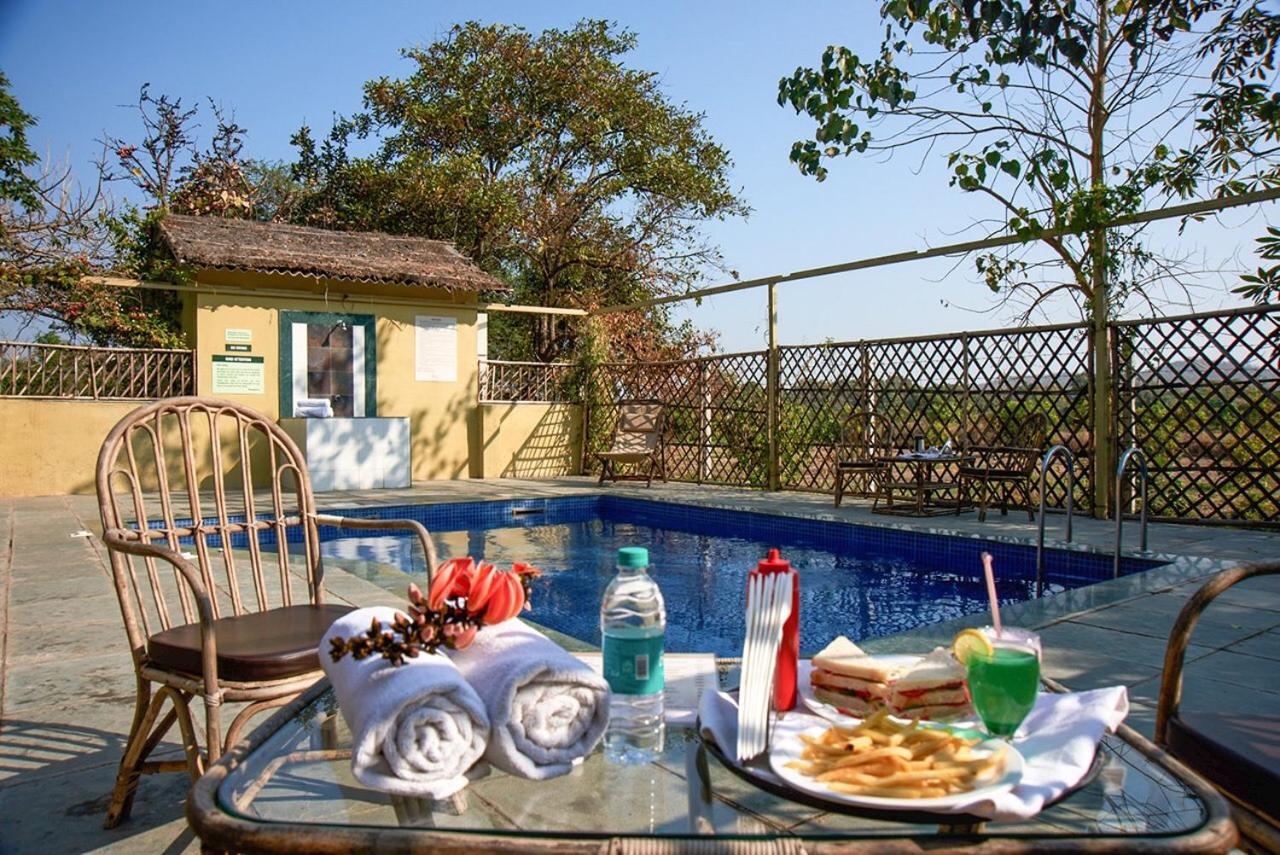 Asiatic Lion Lodge