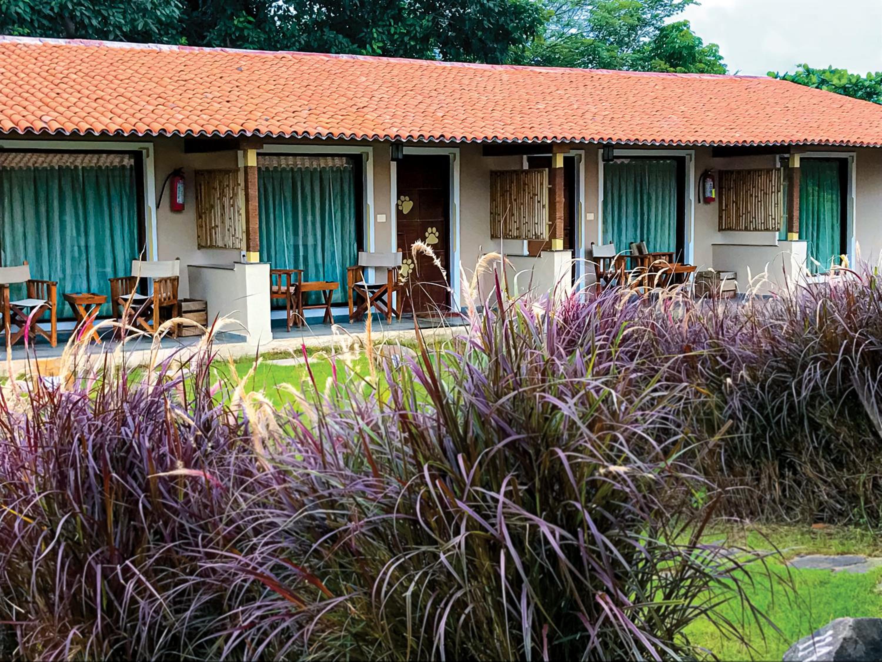 Asiatic Lion Lodge