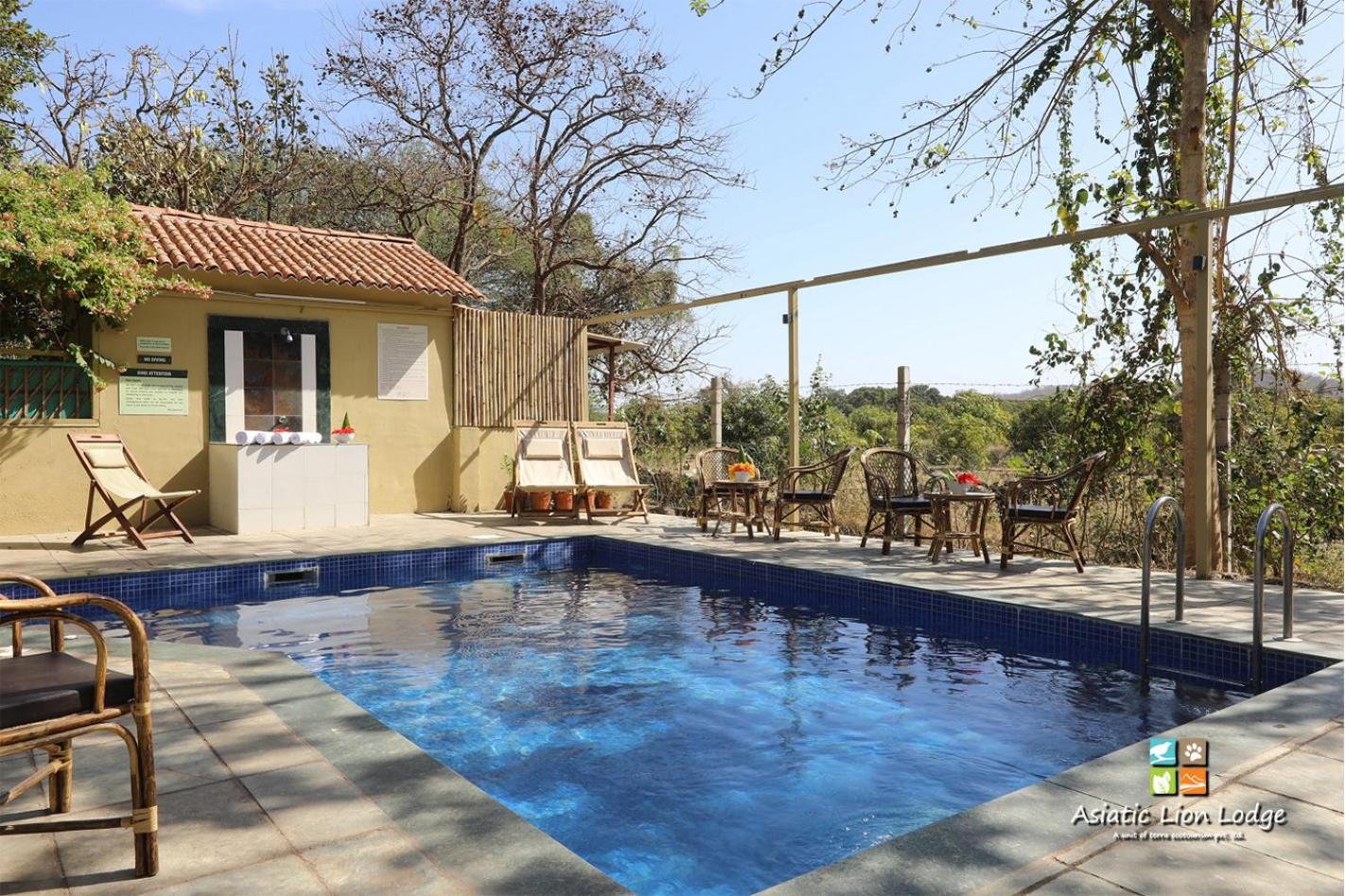 Asiatic Lion Lodge