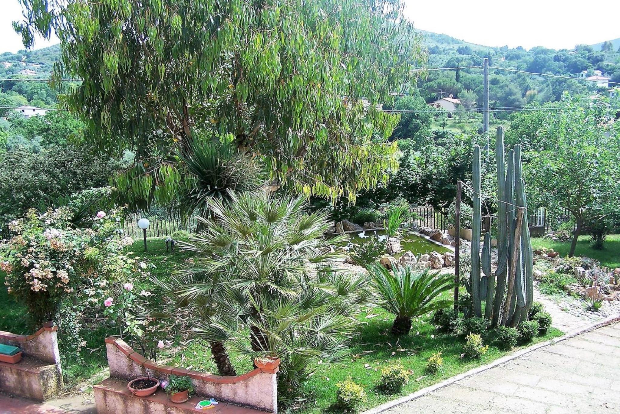 Photo 21
