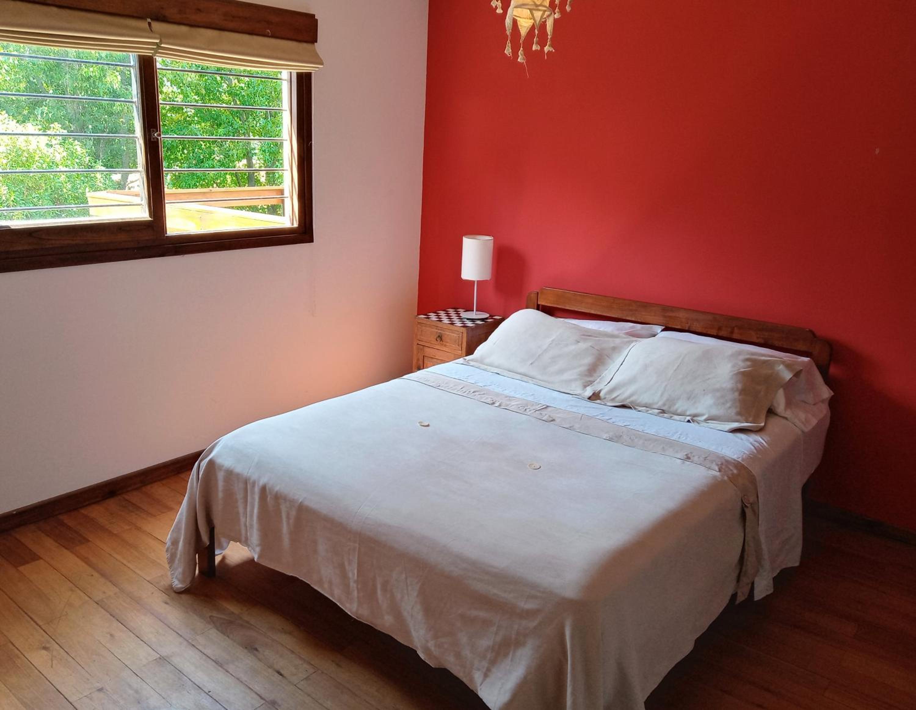 casita moderna frente al bosque