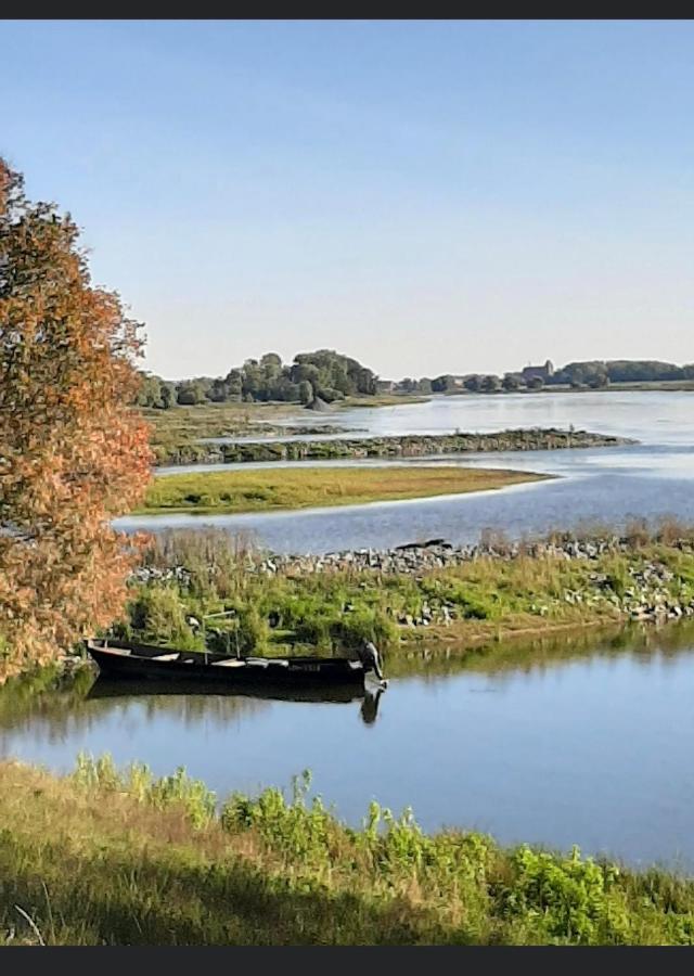 Gnaden- und Ferienhof Saale Wittgenstein in the middle of gar nix
