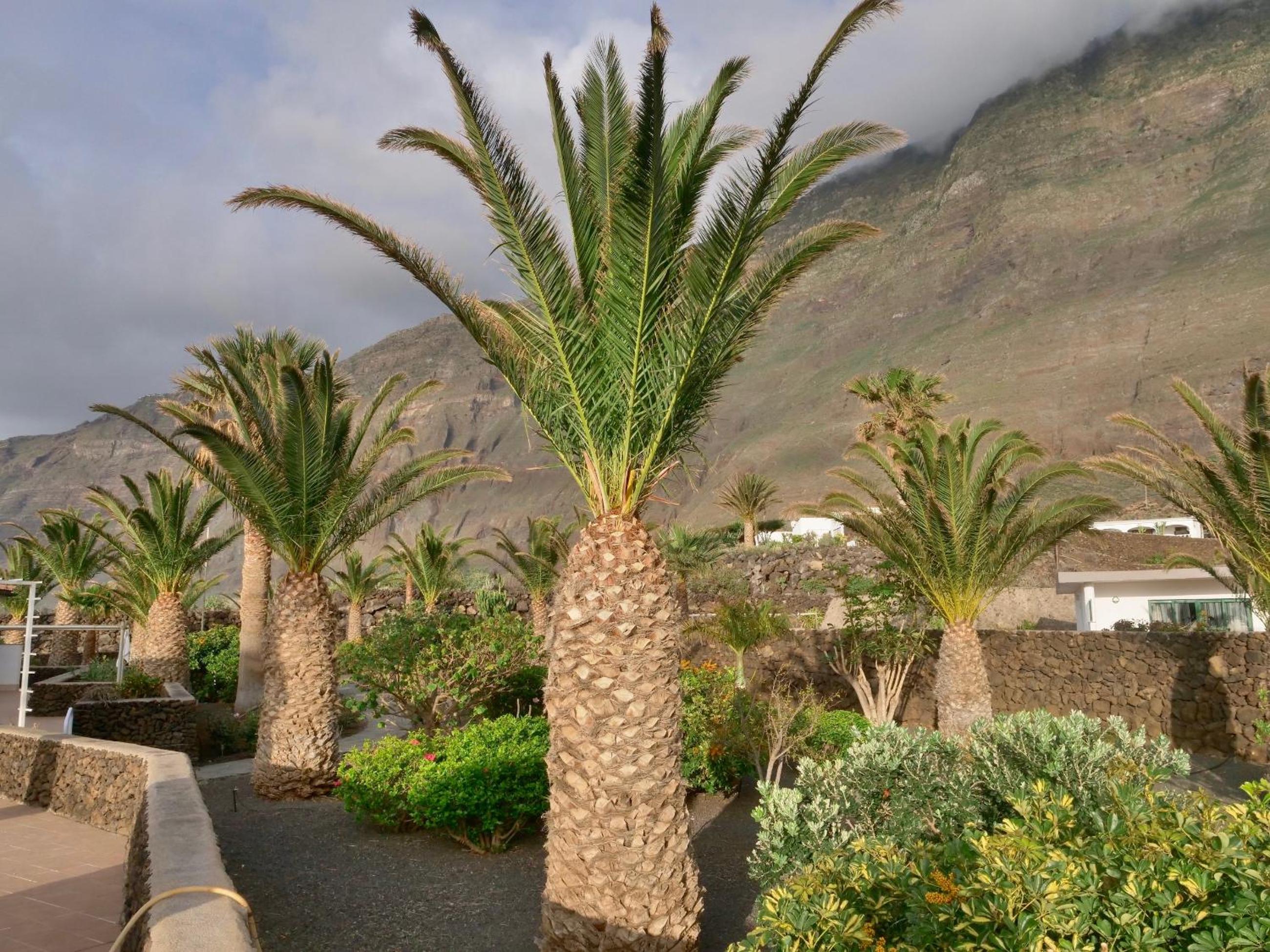 Finca Afortunada
