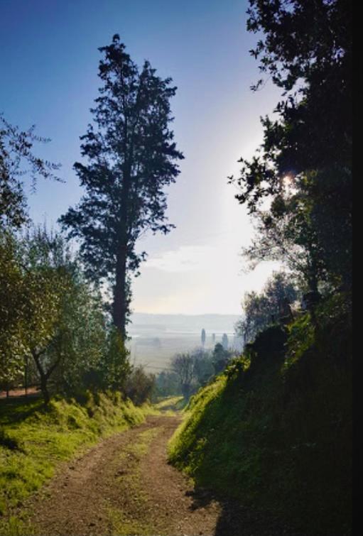 Agriturismo La Pineta