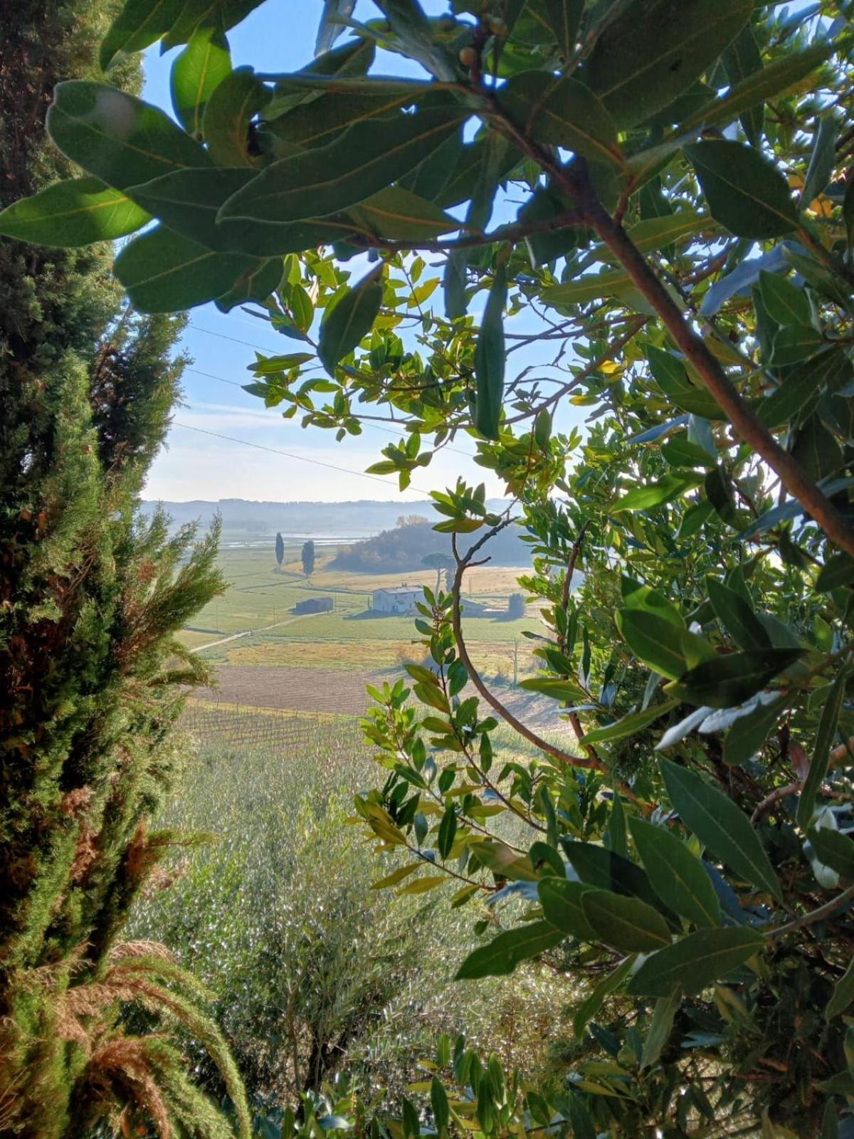 Agriturismo La Pineta