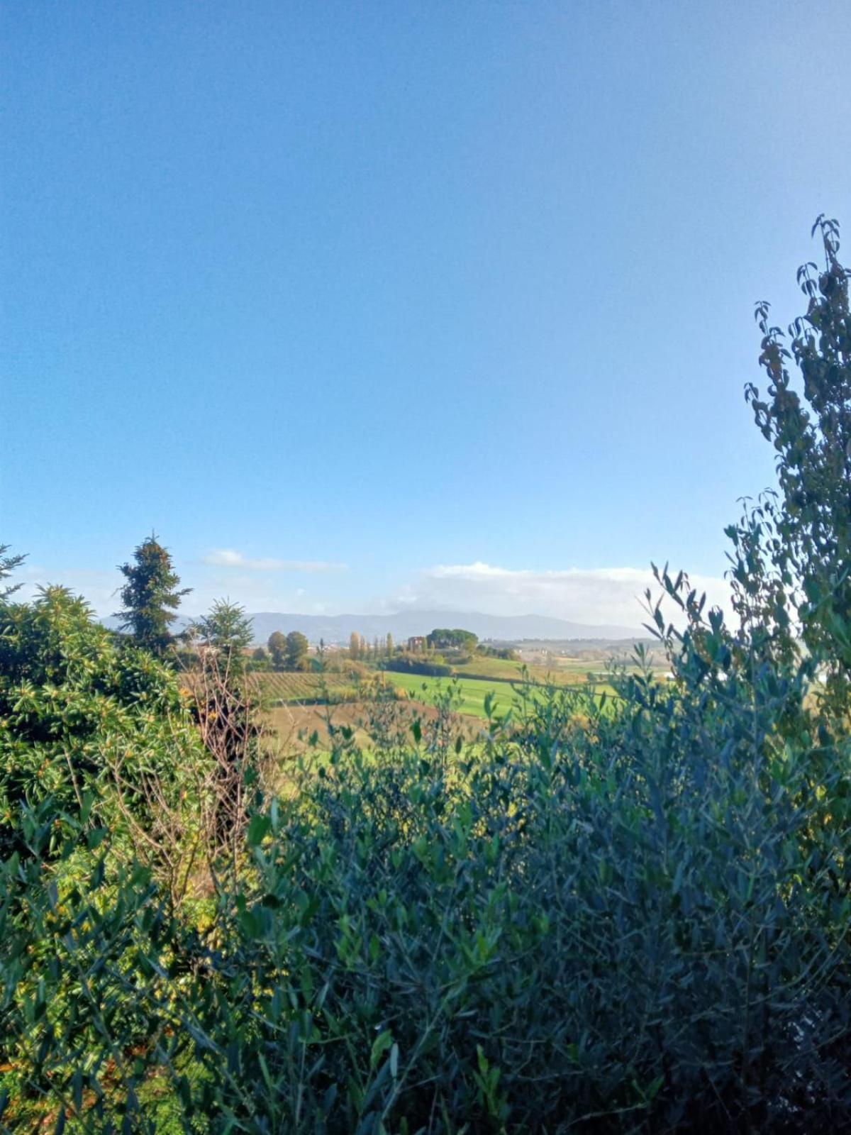 Agriturismo La Pineta