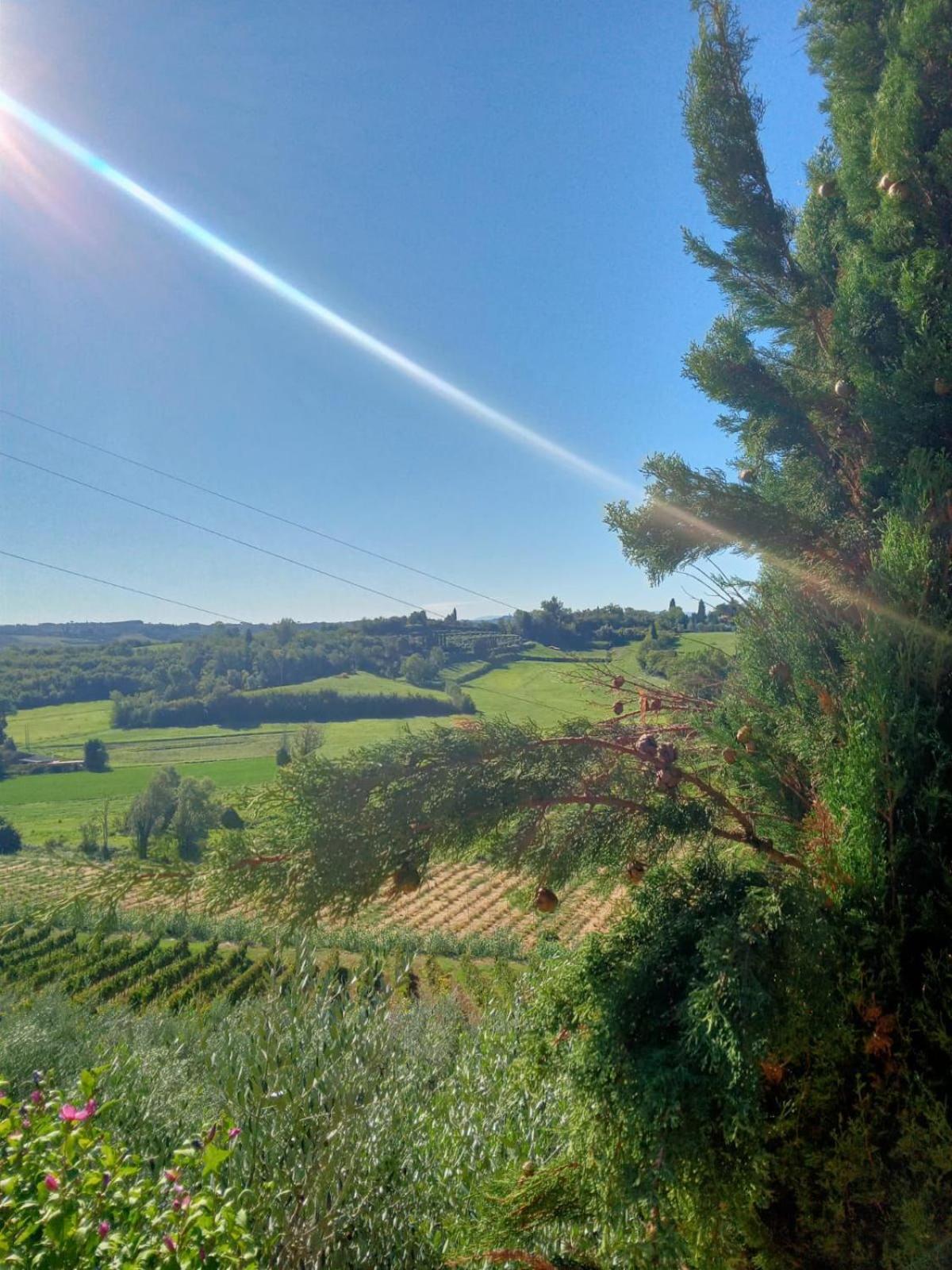 Agriturismo La Pineta