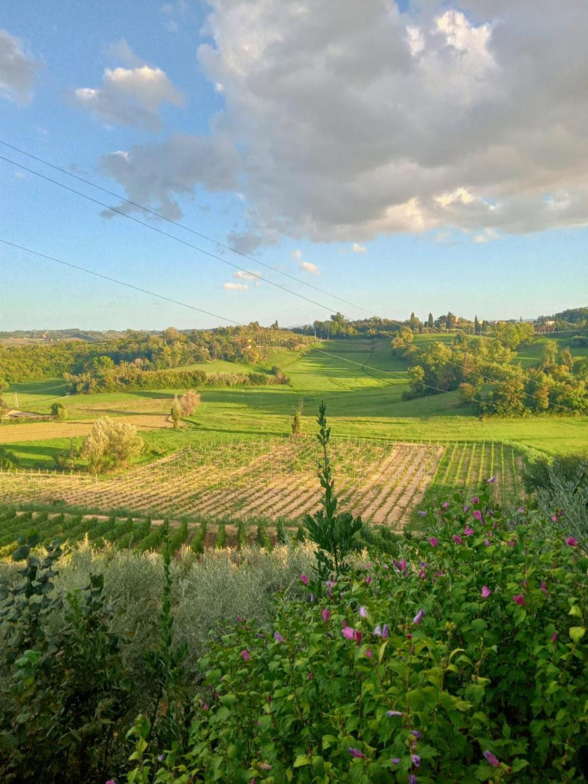 Agriturismo La Pineta