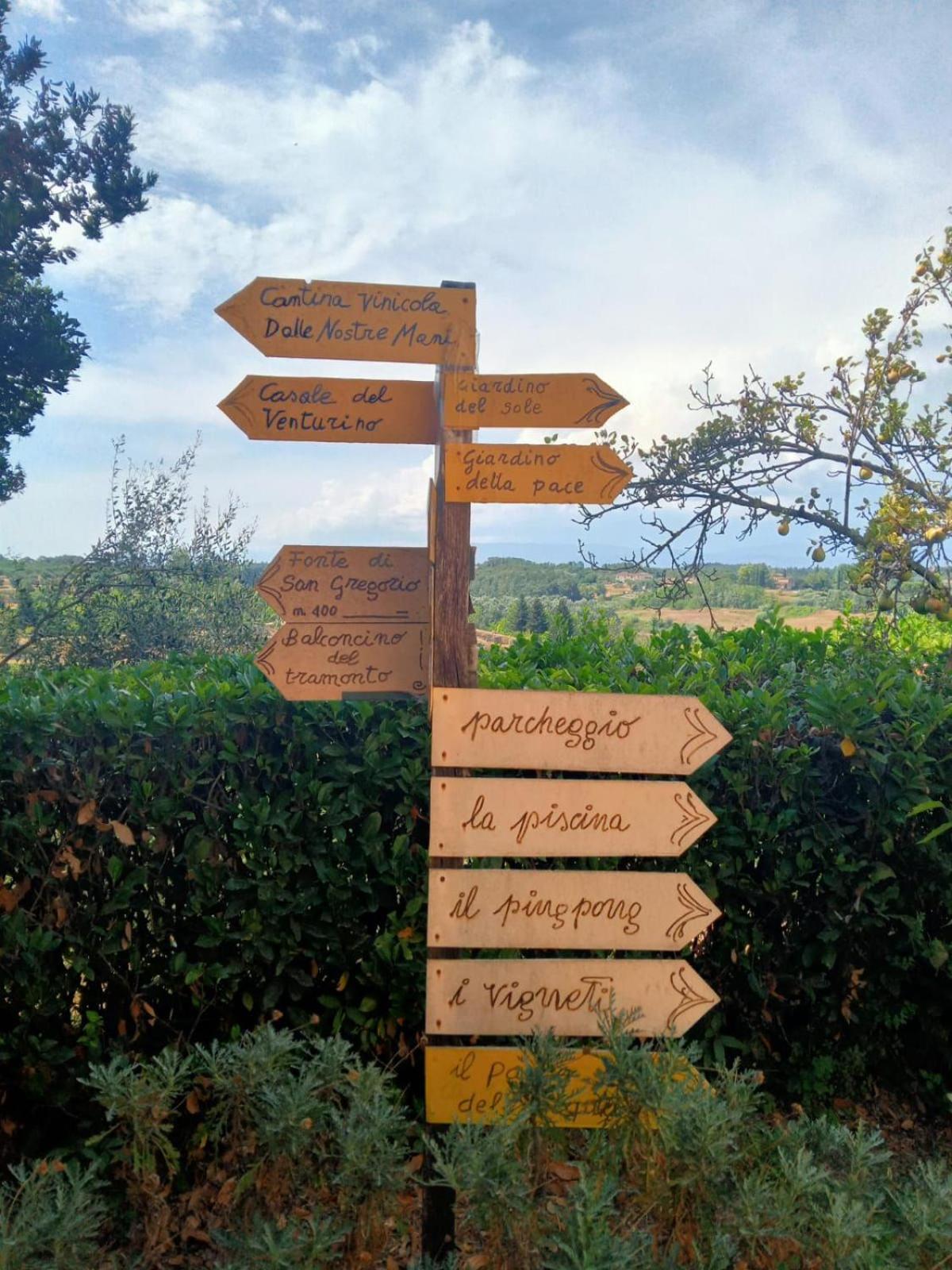 Agriturismo La Pineta