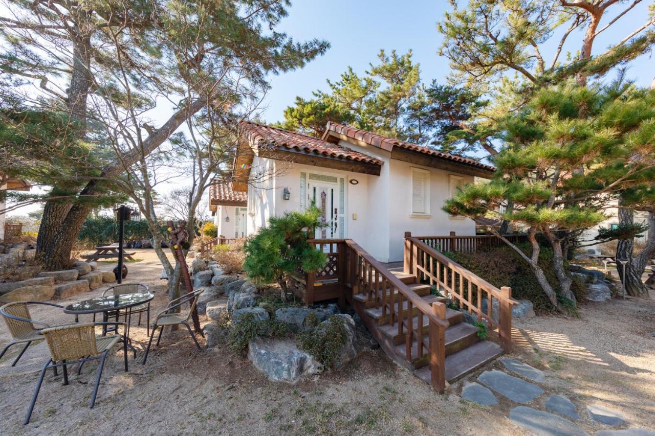 Clear morning pet friendly pension view 2