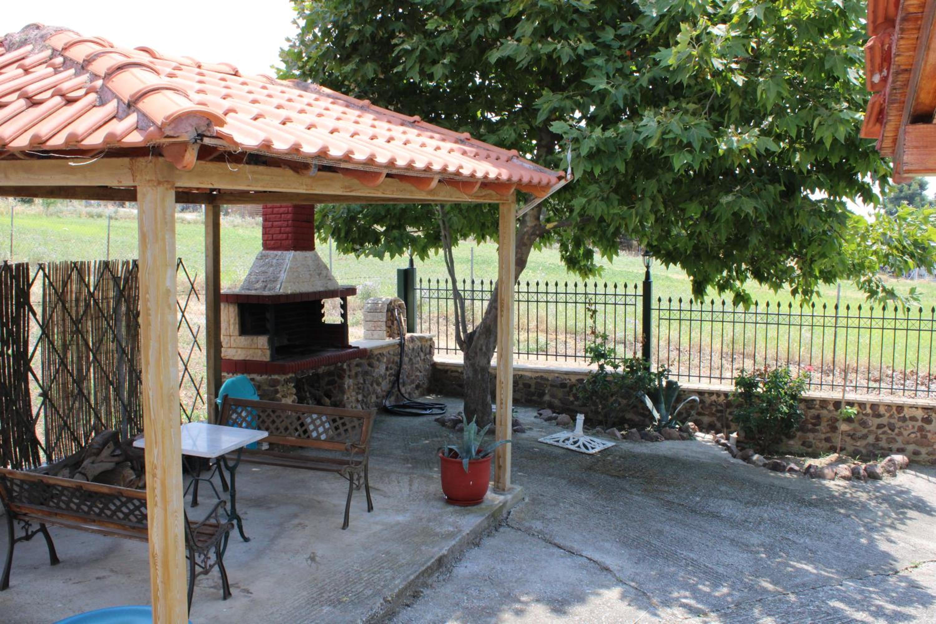 Photo 11
