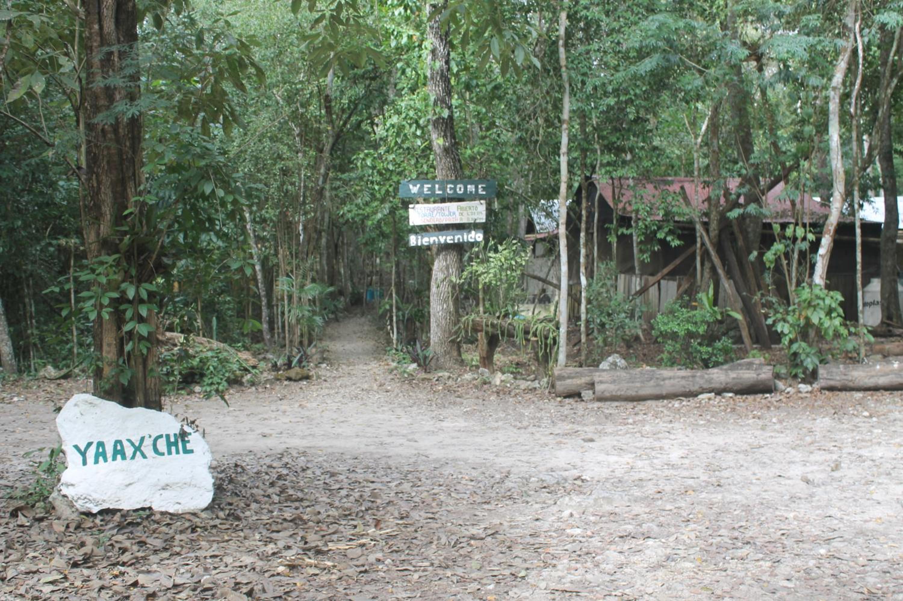 Campamento Yaax Che en Calakmul view 3