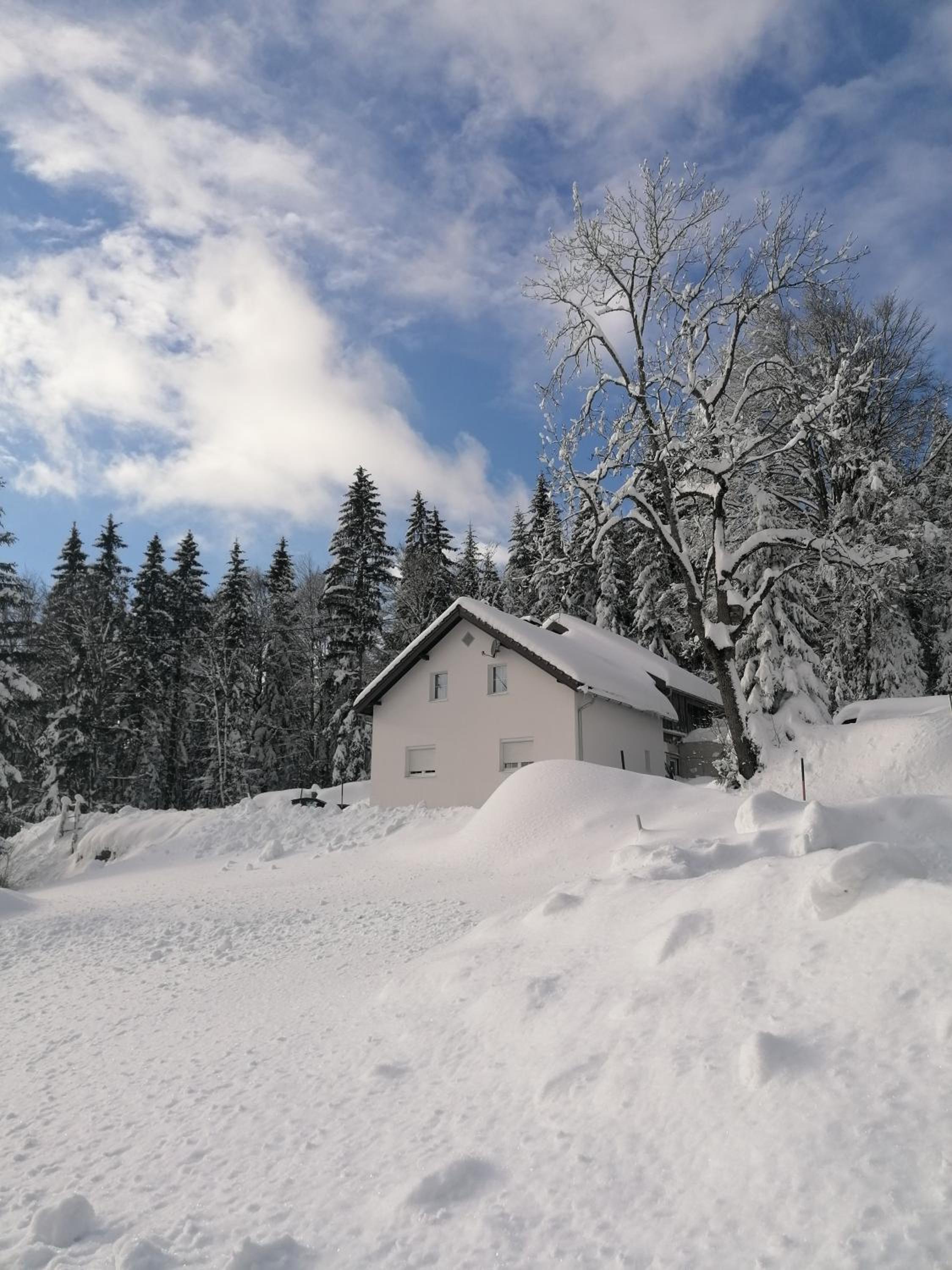 Ferienhaus Plöckenstein