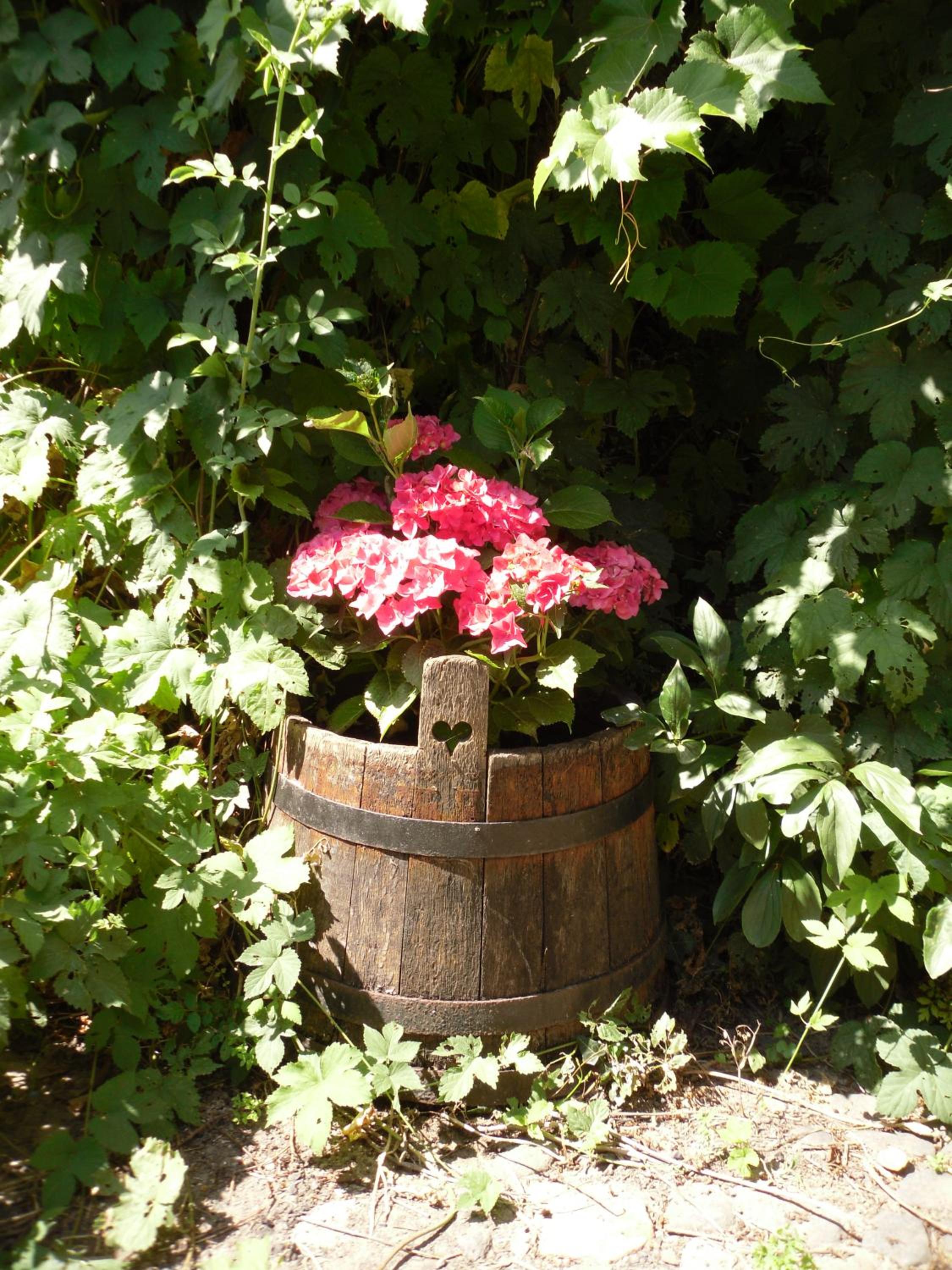 Winzeranwesen - Weingut Christian Eberley - Haupthaus I MINDESTAUFENTHALT 4 NÄCHTE - MINIMUM STAY 4 NIGHTS