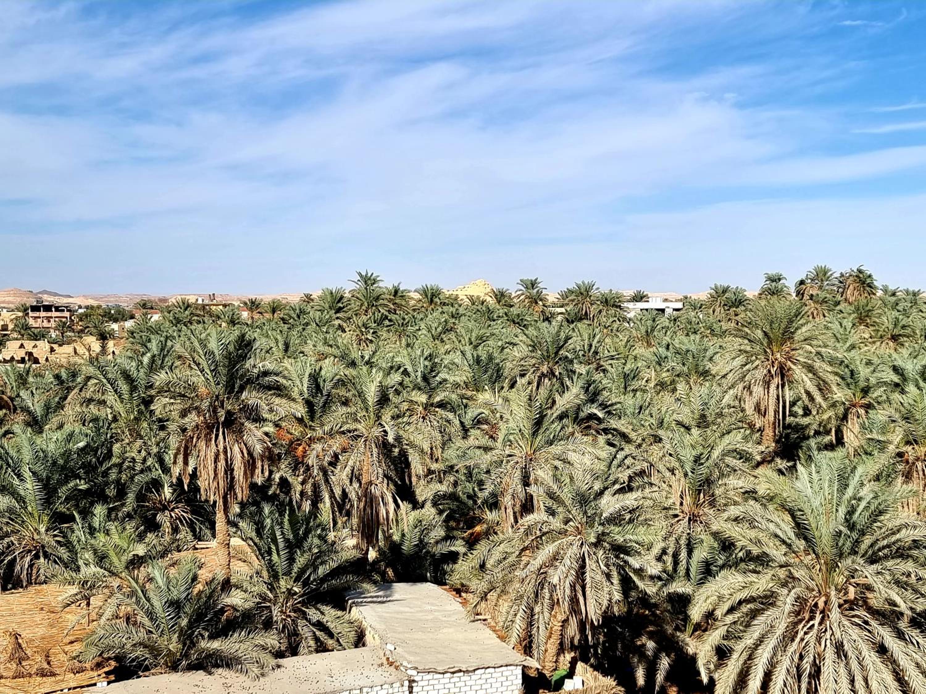SEMIRAmis Siwa