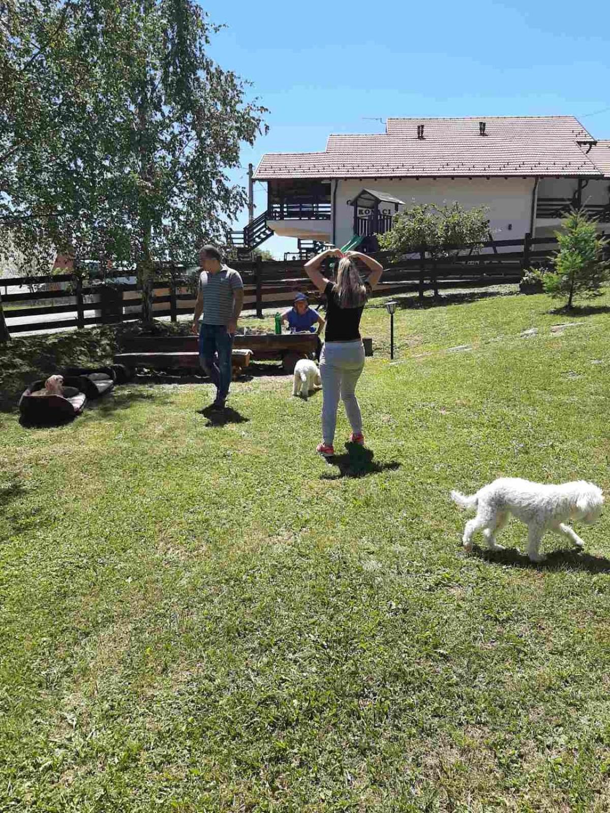 Photo 24
