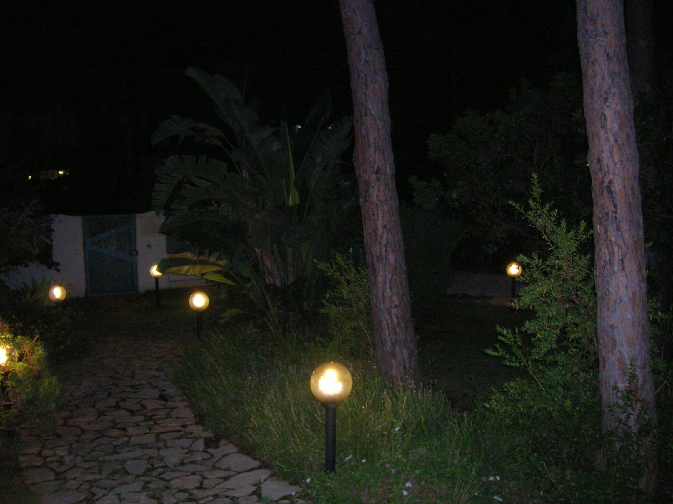 Photo 50
