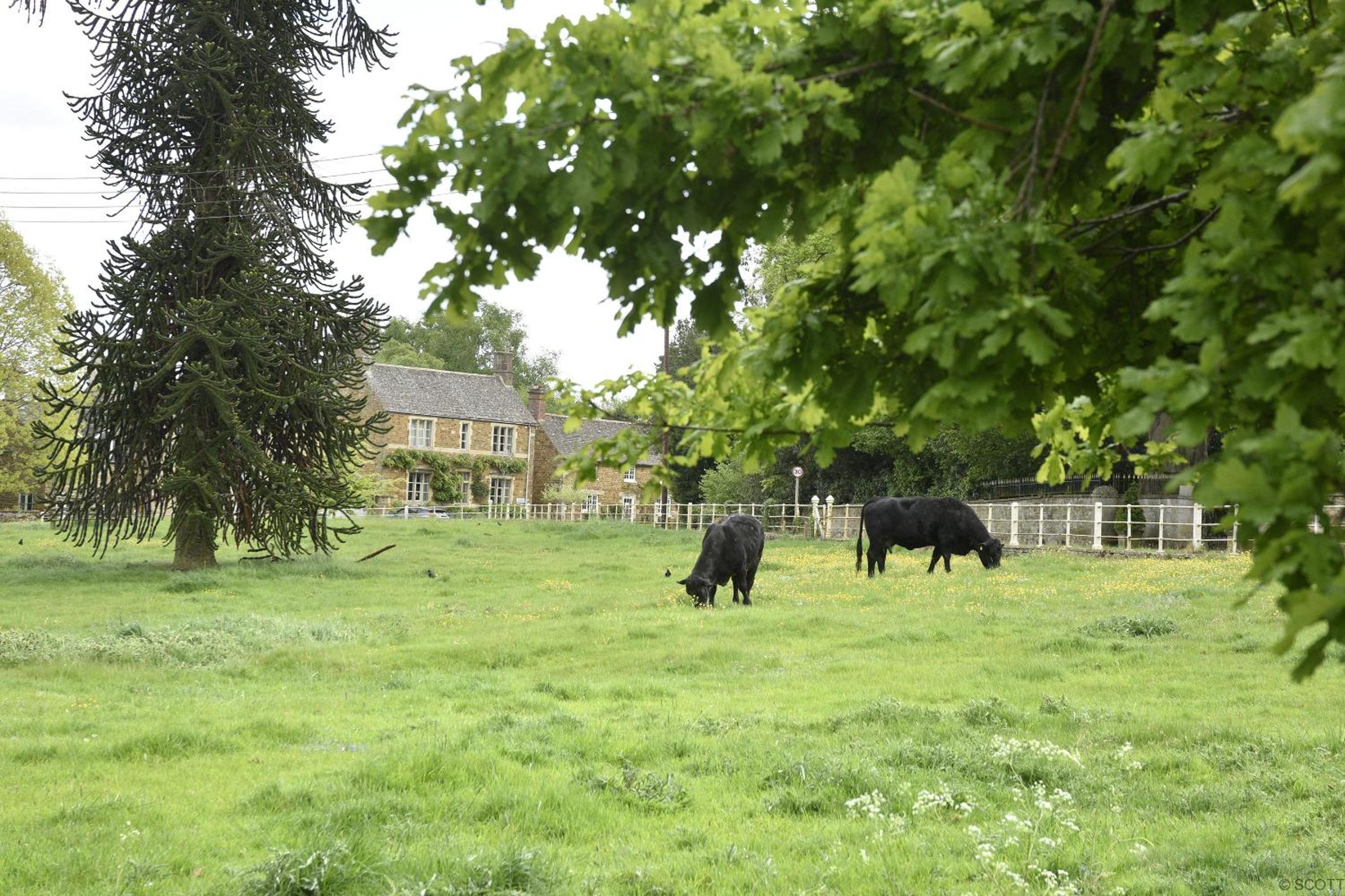 The Old Stables at Castle Chase, Ayston view 4
