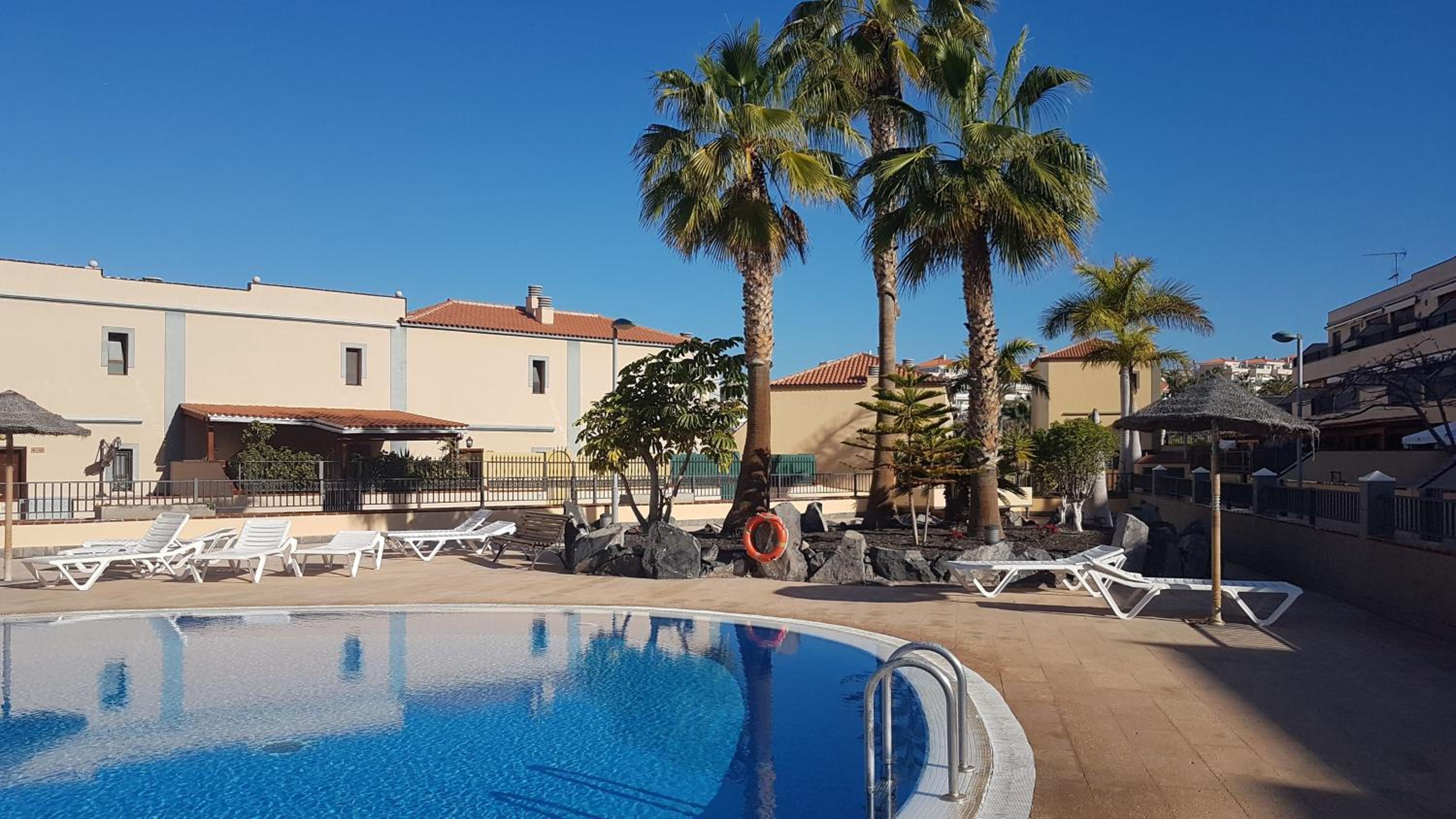 Tenerife lizards - duplex in the first line photo 2