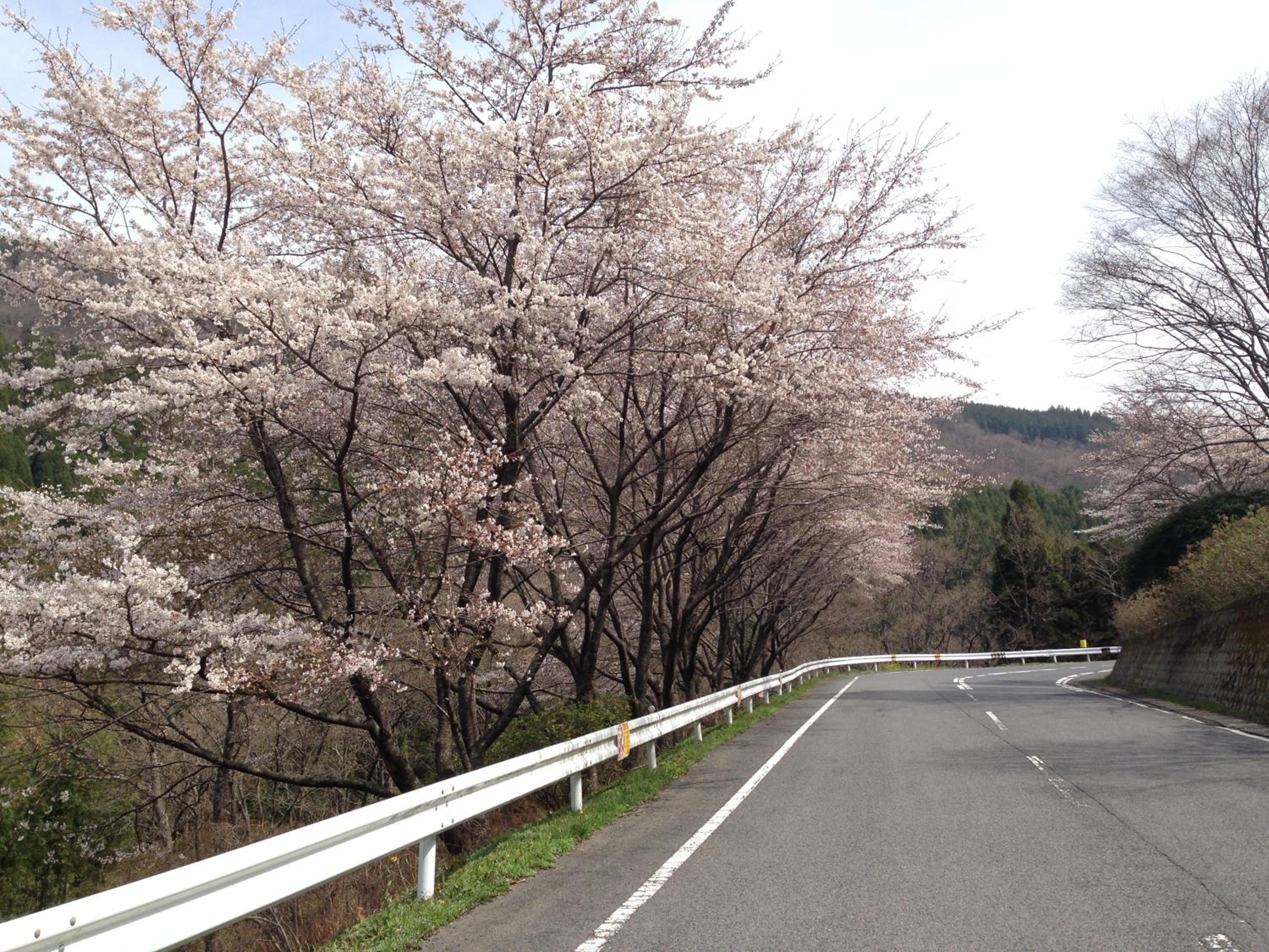 Ryokan Yamashiroya