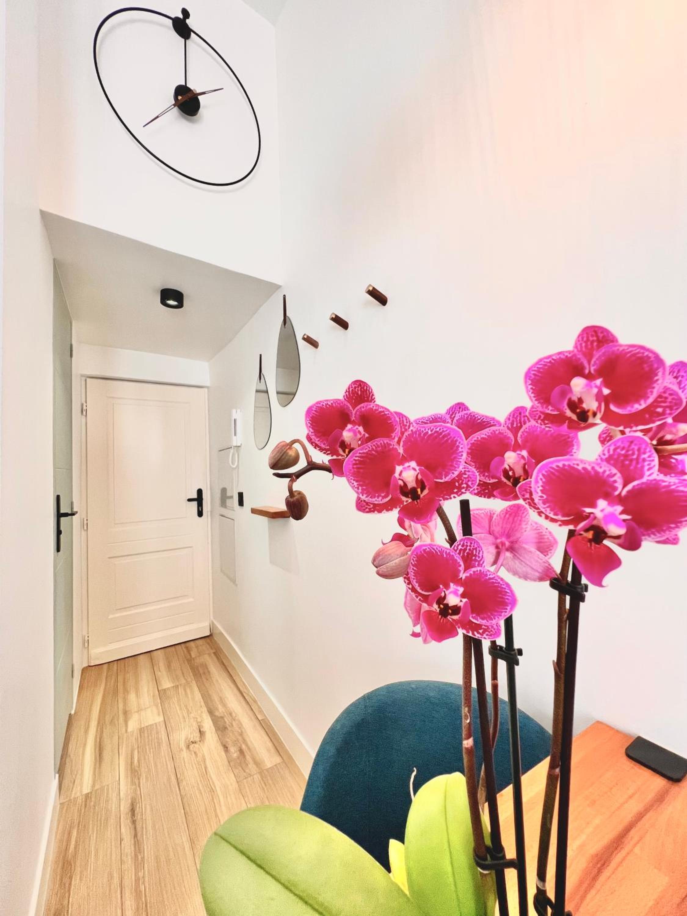 DUPLEX LE GESÙ - VIEILLE VILLE - CLIM - WIFI
