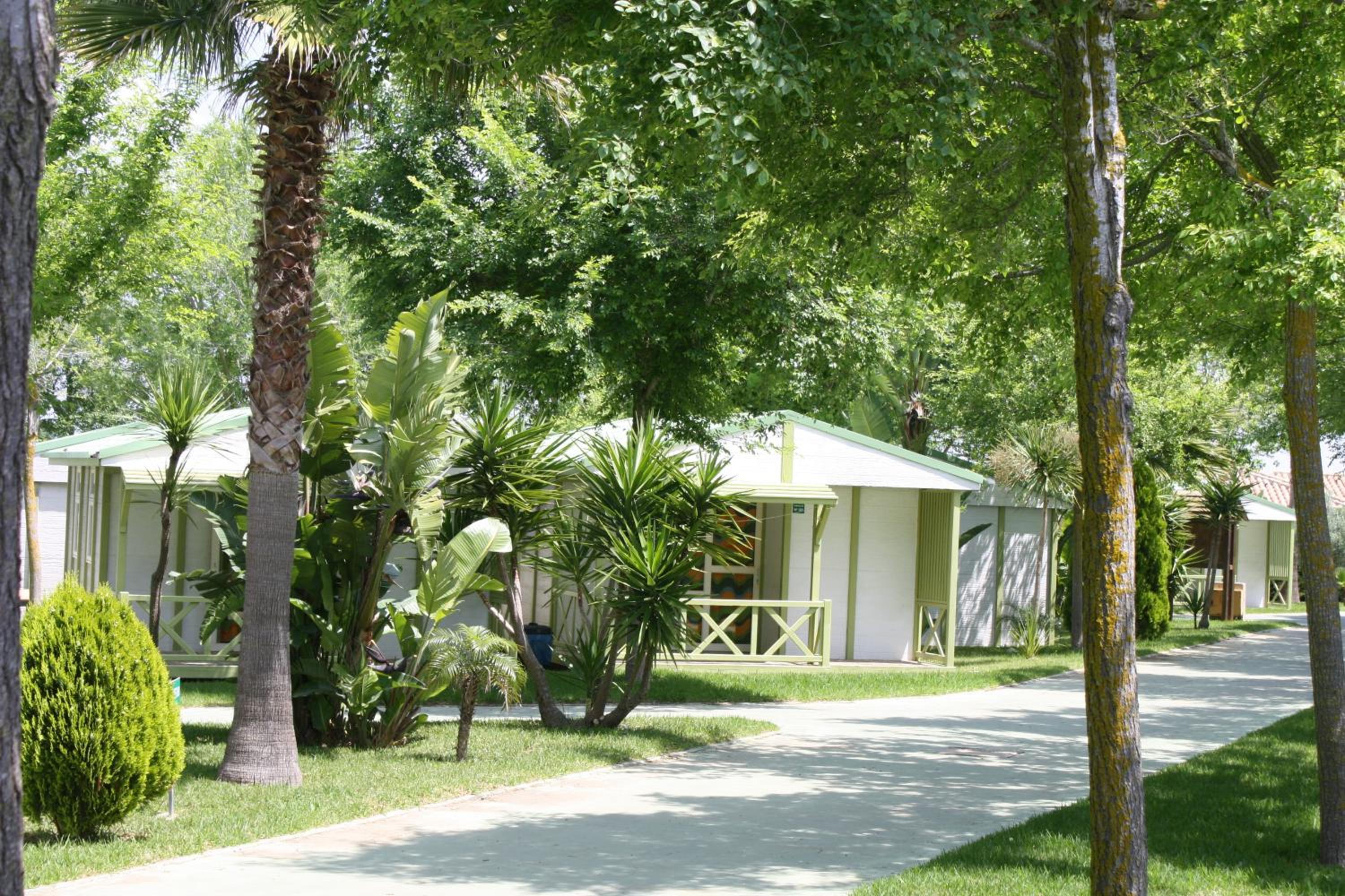 Glamping -Bungalows El Faro view 2