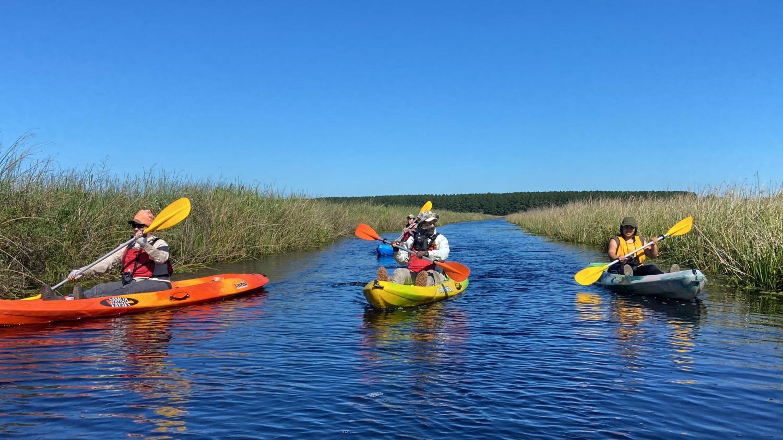 Ibera Birding Lodge Guest House