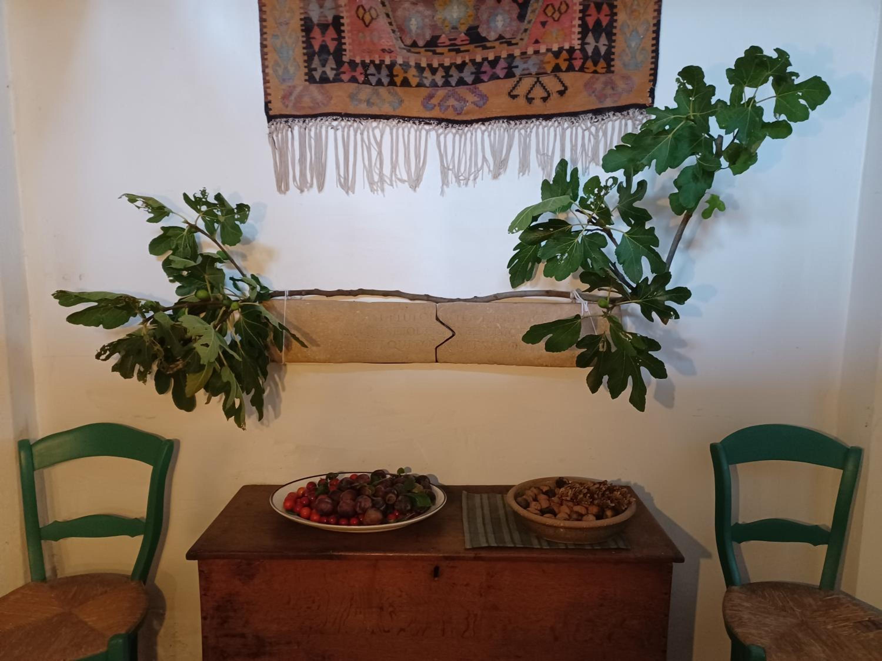 De Zomere B&B