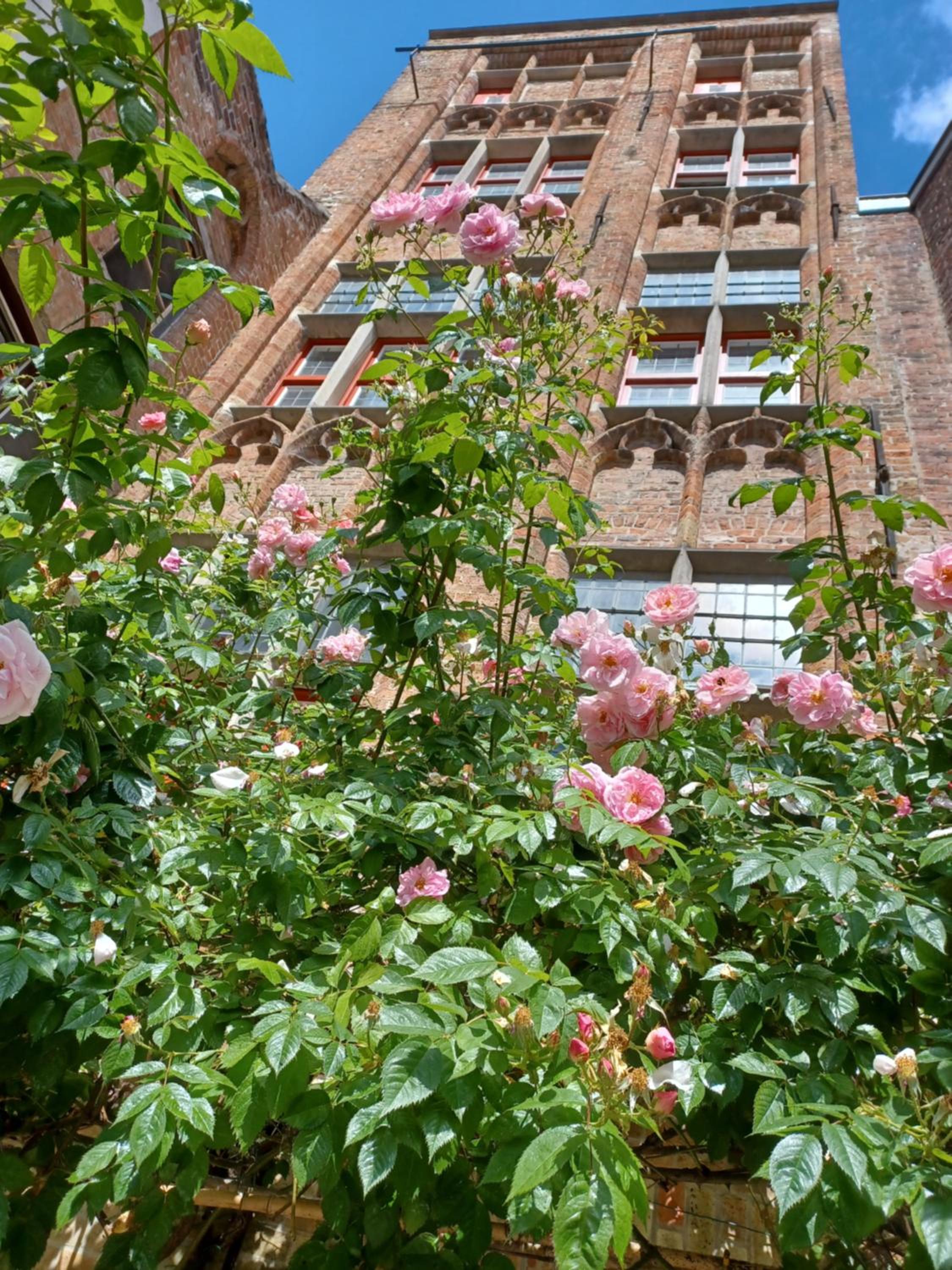 De Zomere B&B