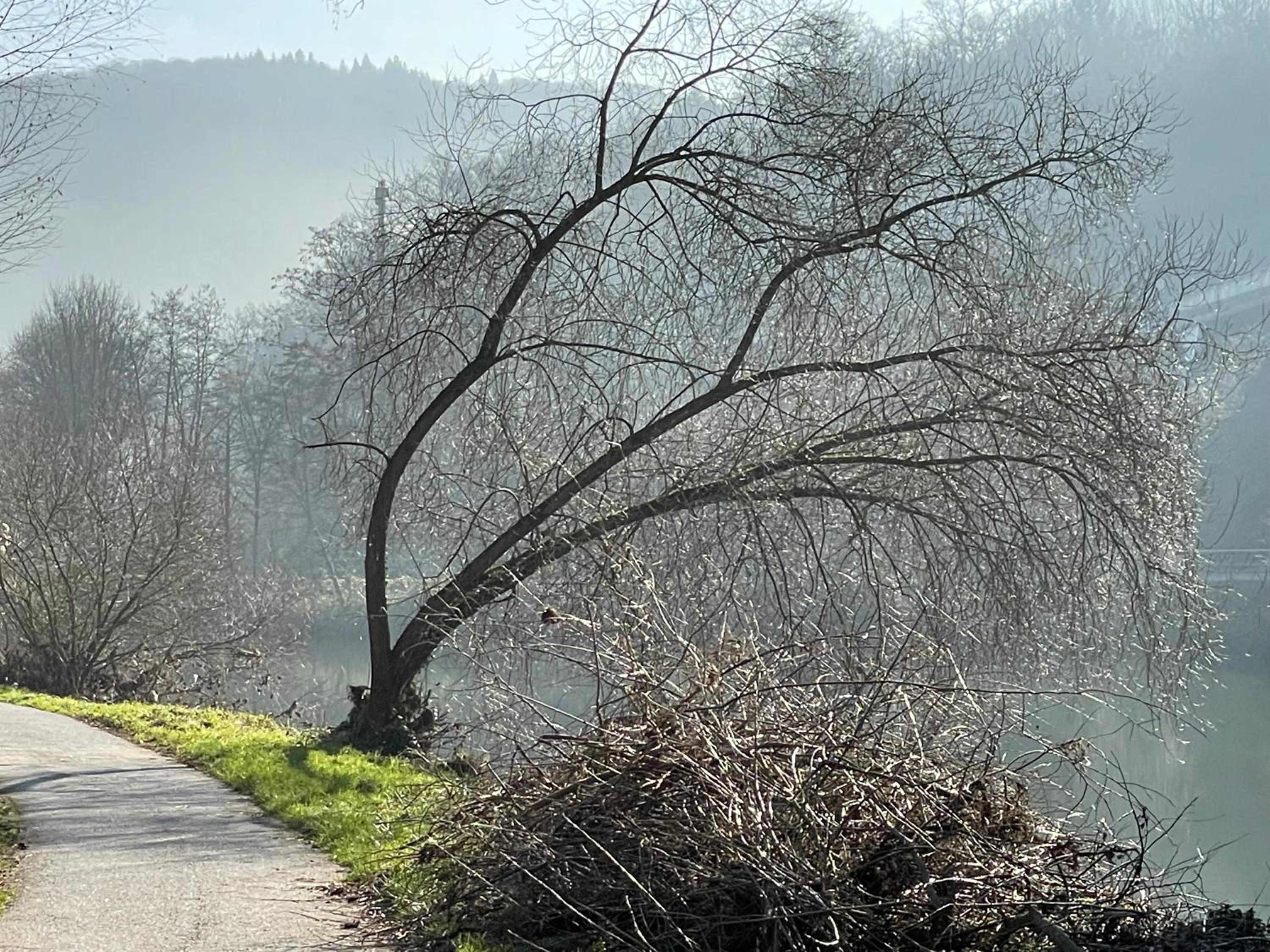 Ferienwohnung bei Bad Ems im Lahntal