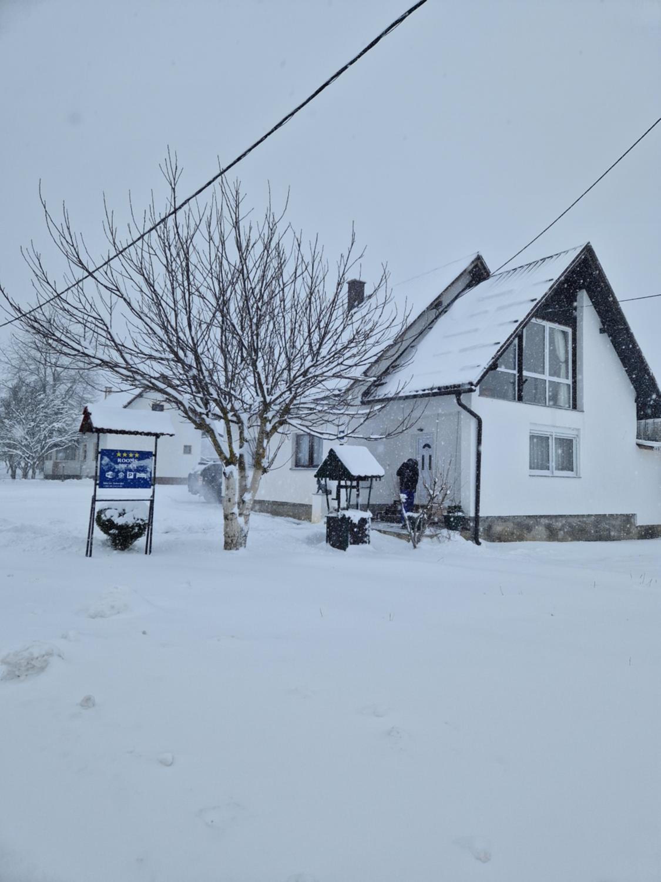 Photo 44
